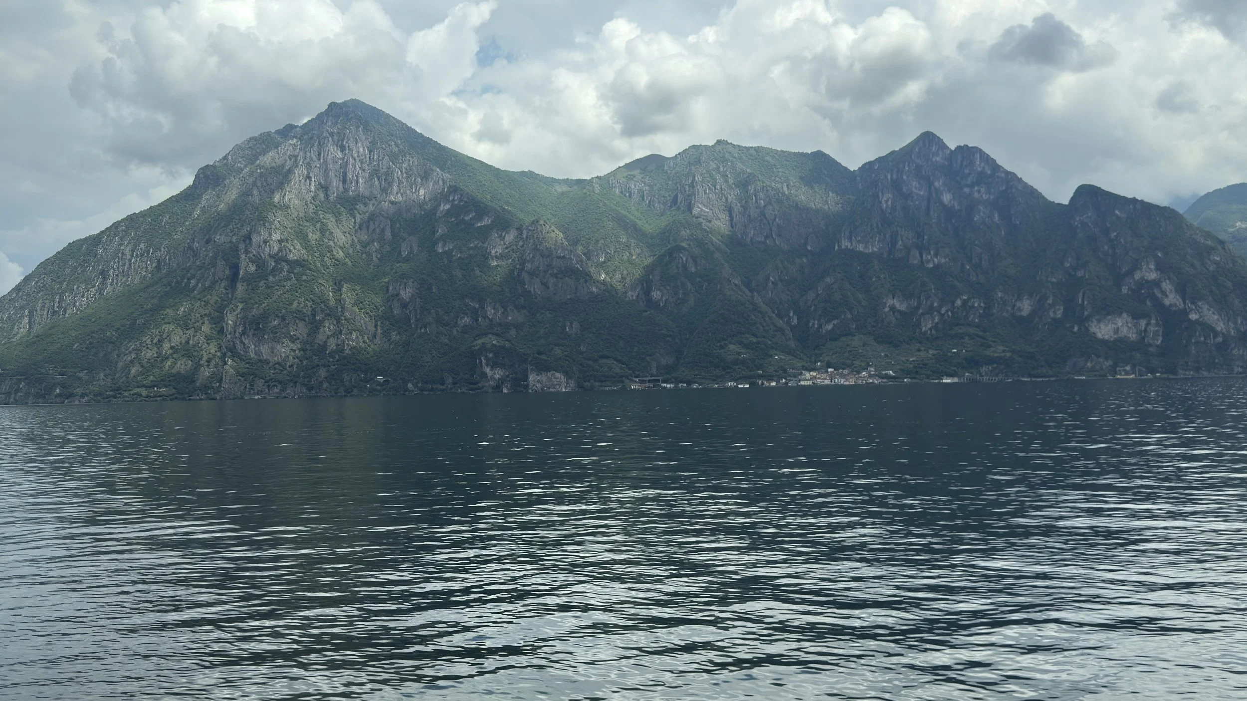 IMG_8398.jpeg