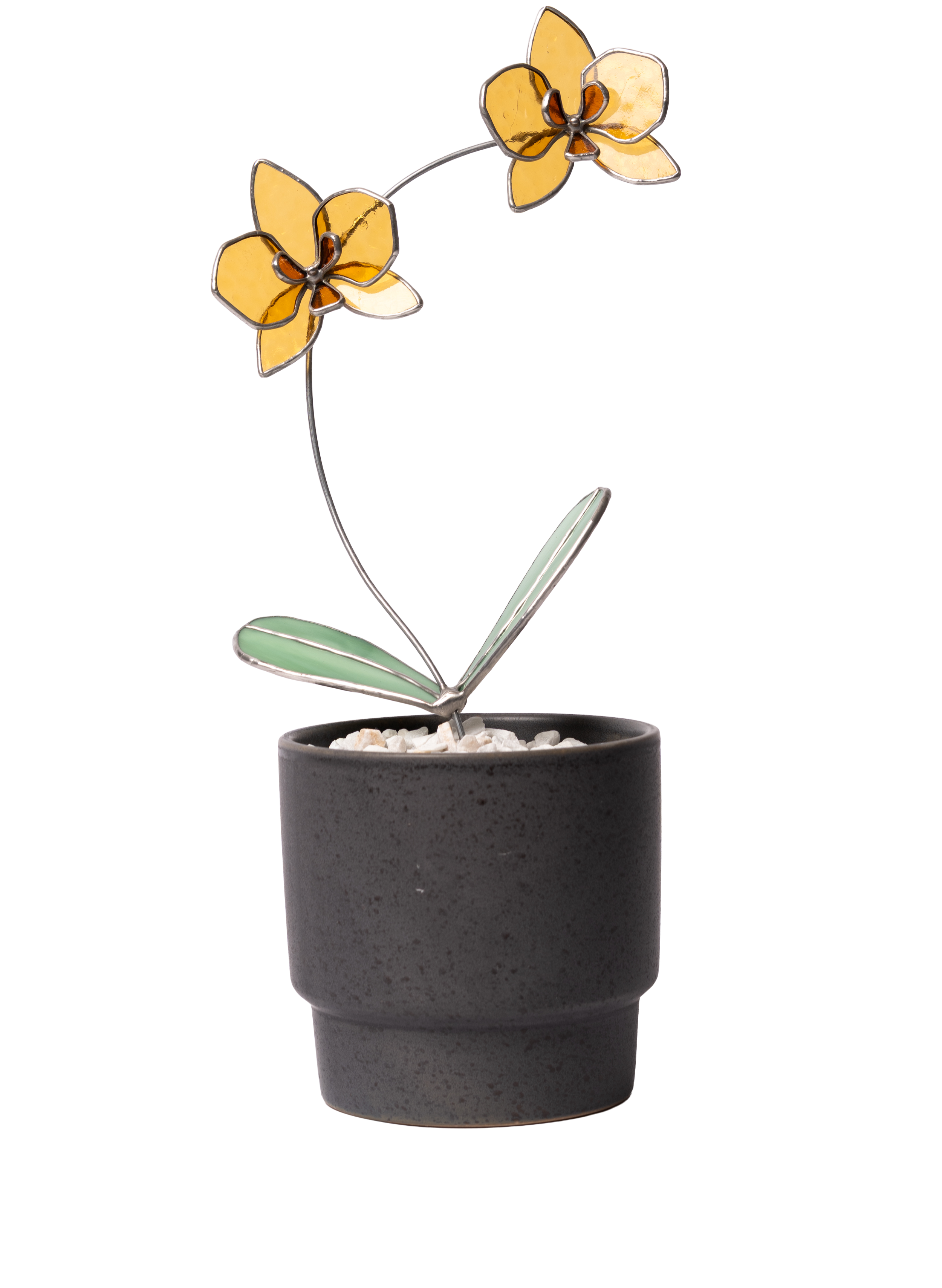 Glas in lood gele orchidee in zwarte pot.