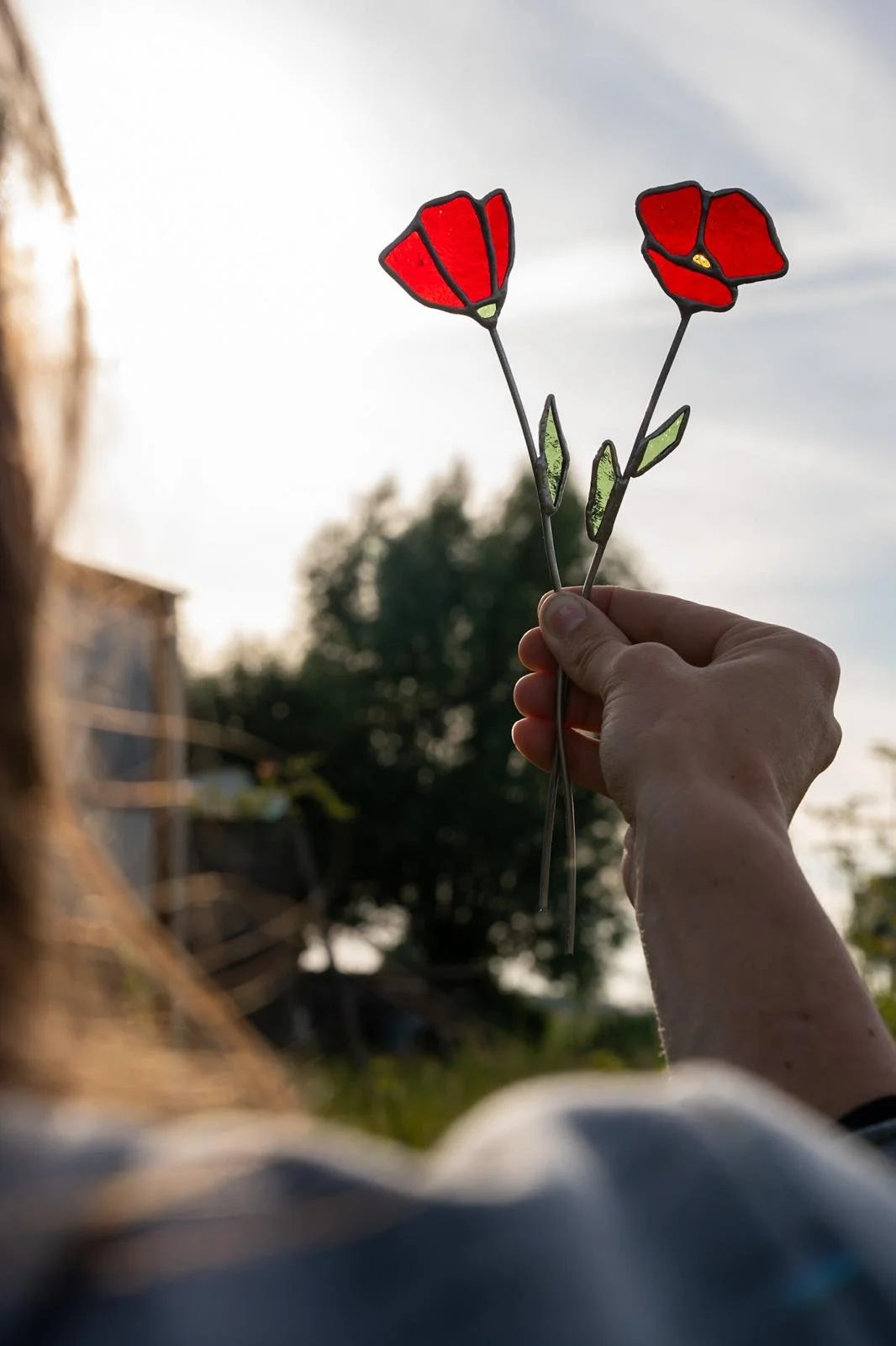Glas in lood klaproos bloemen met tegenlicht.