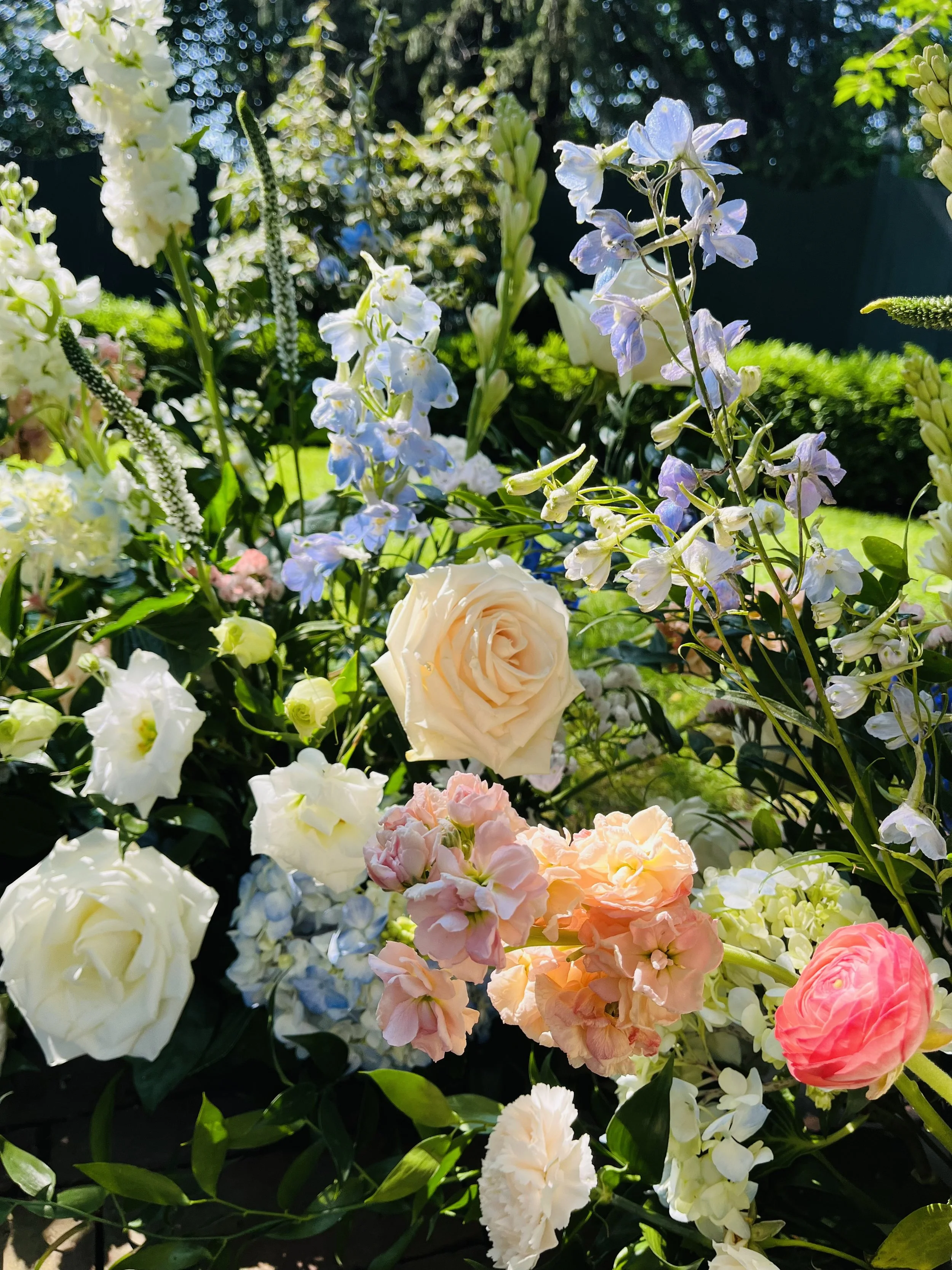 A vibrant garden scene with various flowers, including white roses, light pink and peach carnations, and light blue delphiniums, illuminated by sunlight against a green and leafy background.