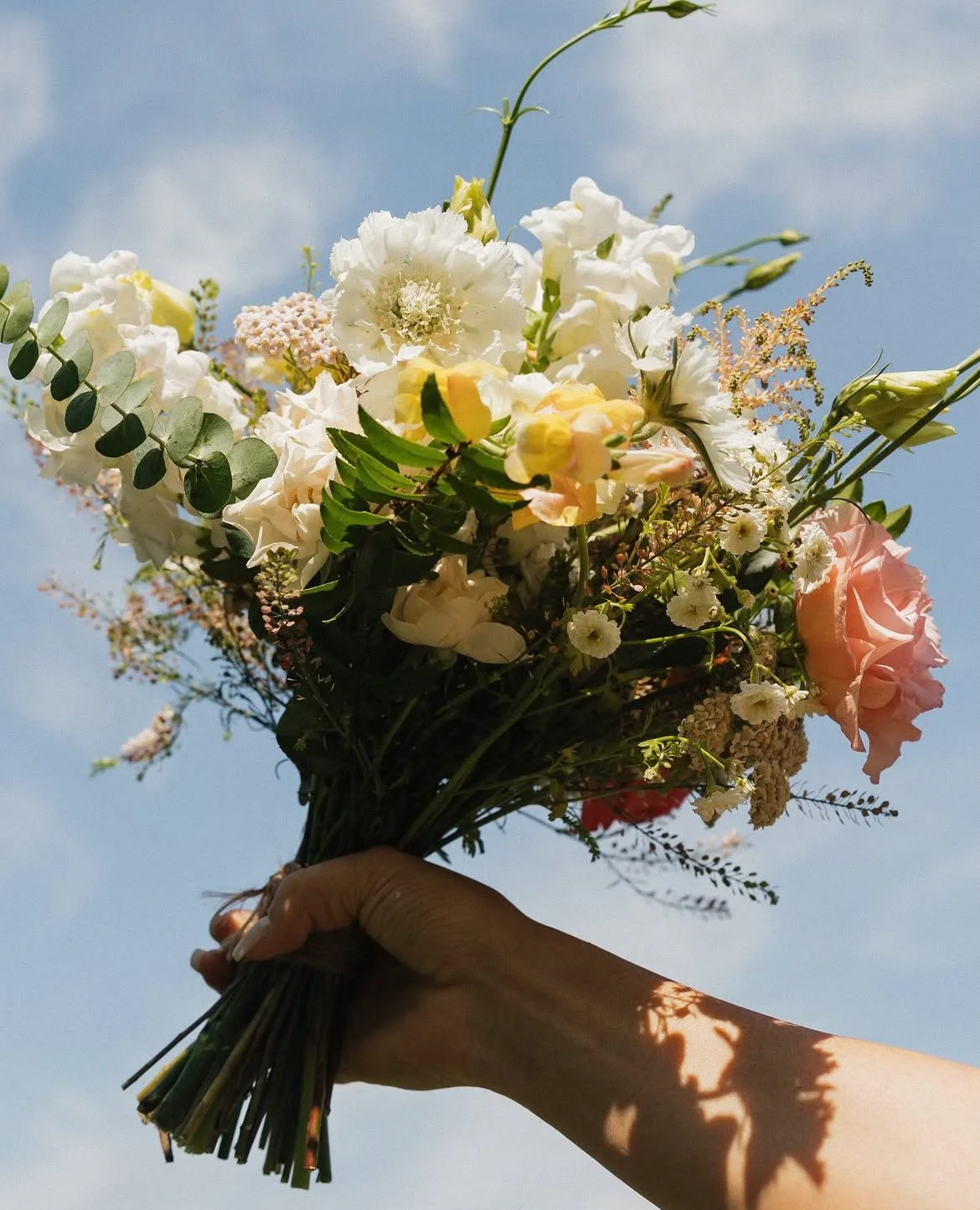 A hand holding a bouquet of mixed flowers against a blue sky background.