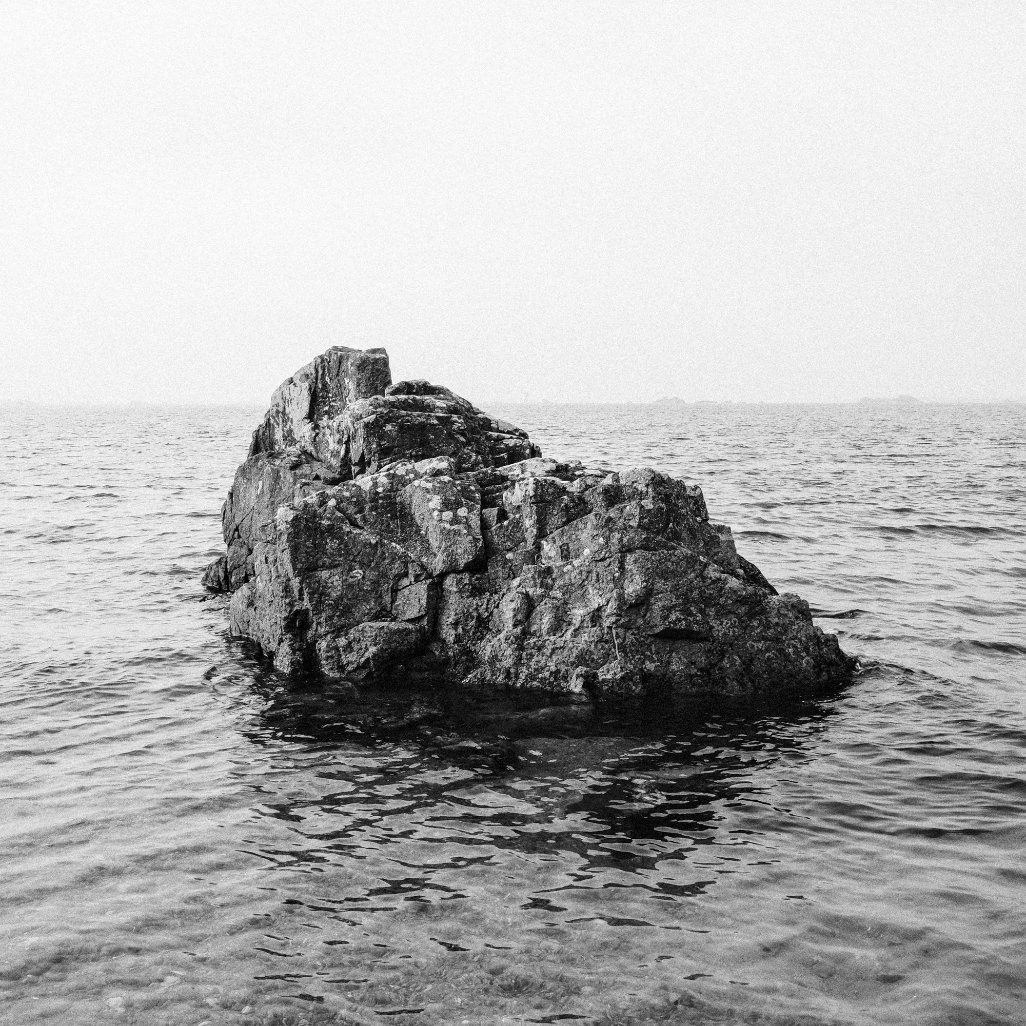 110.jpg