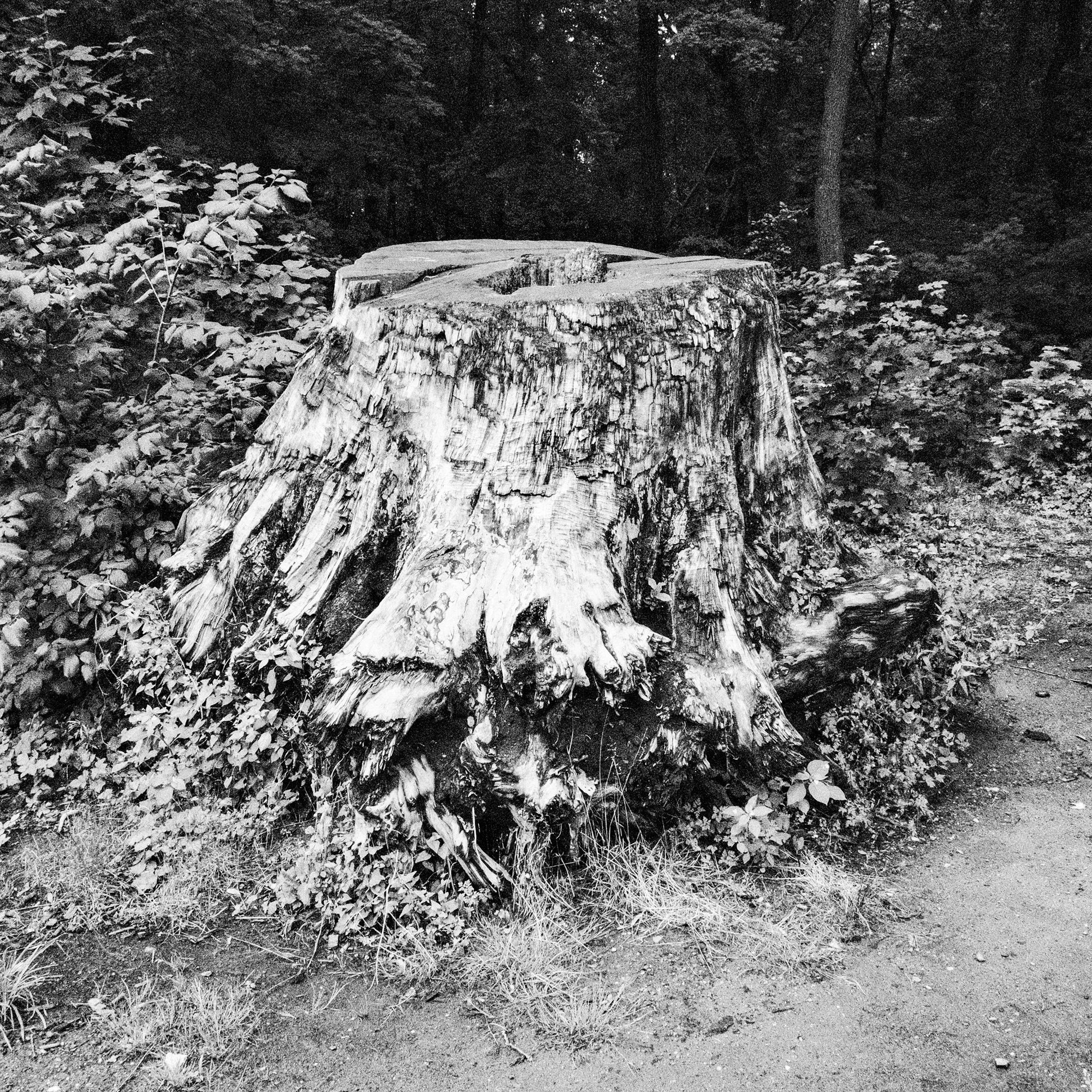 082.jpg