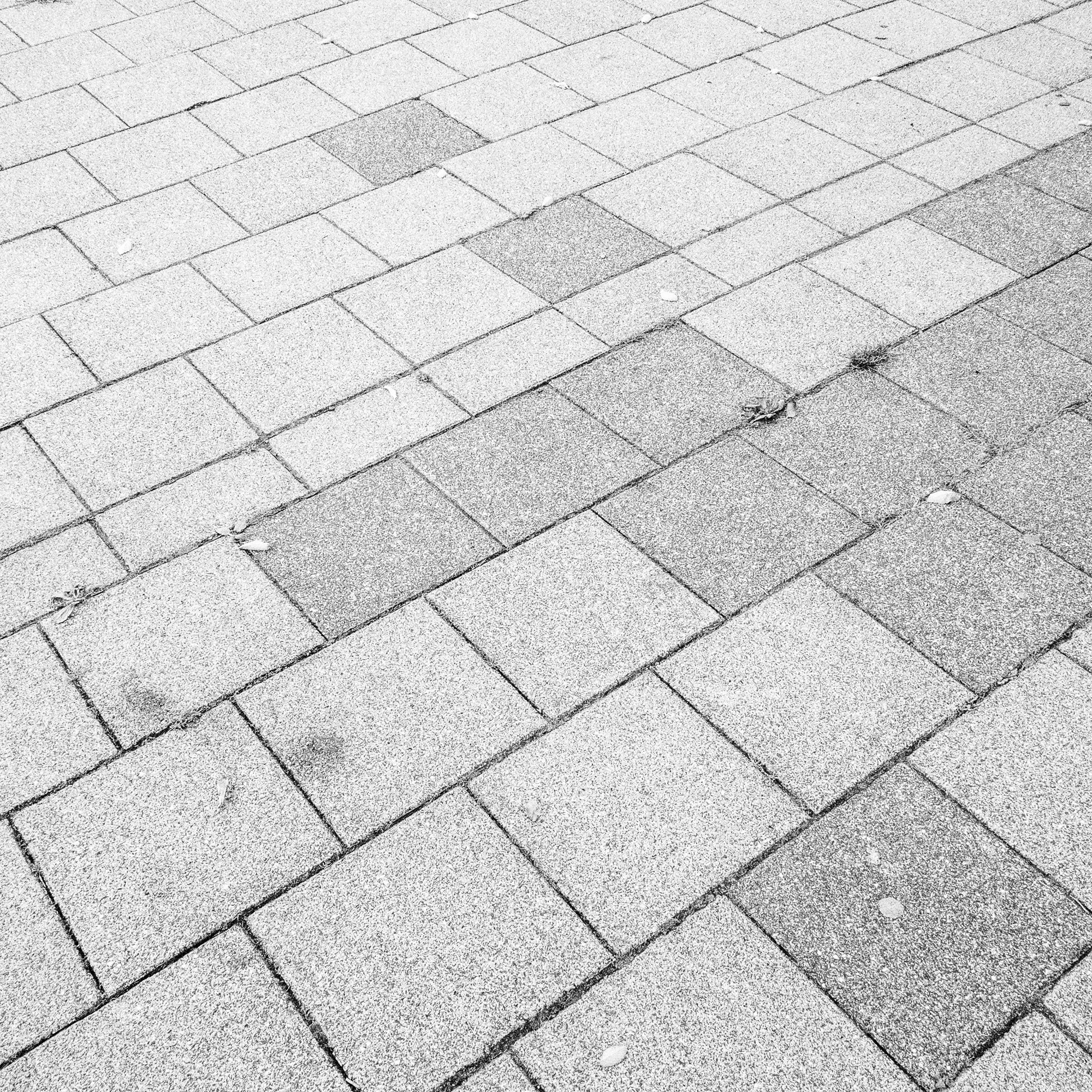 041.jpg