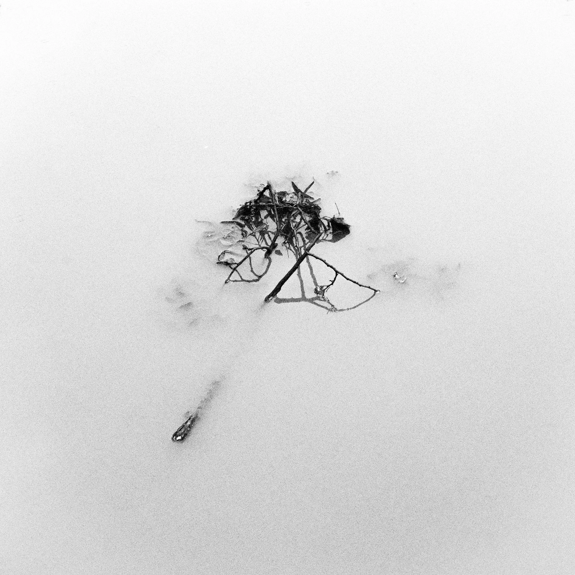 a square is a square