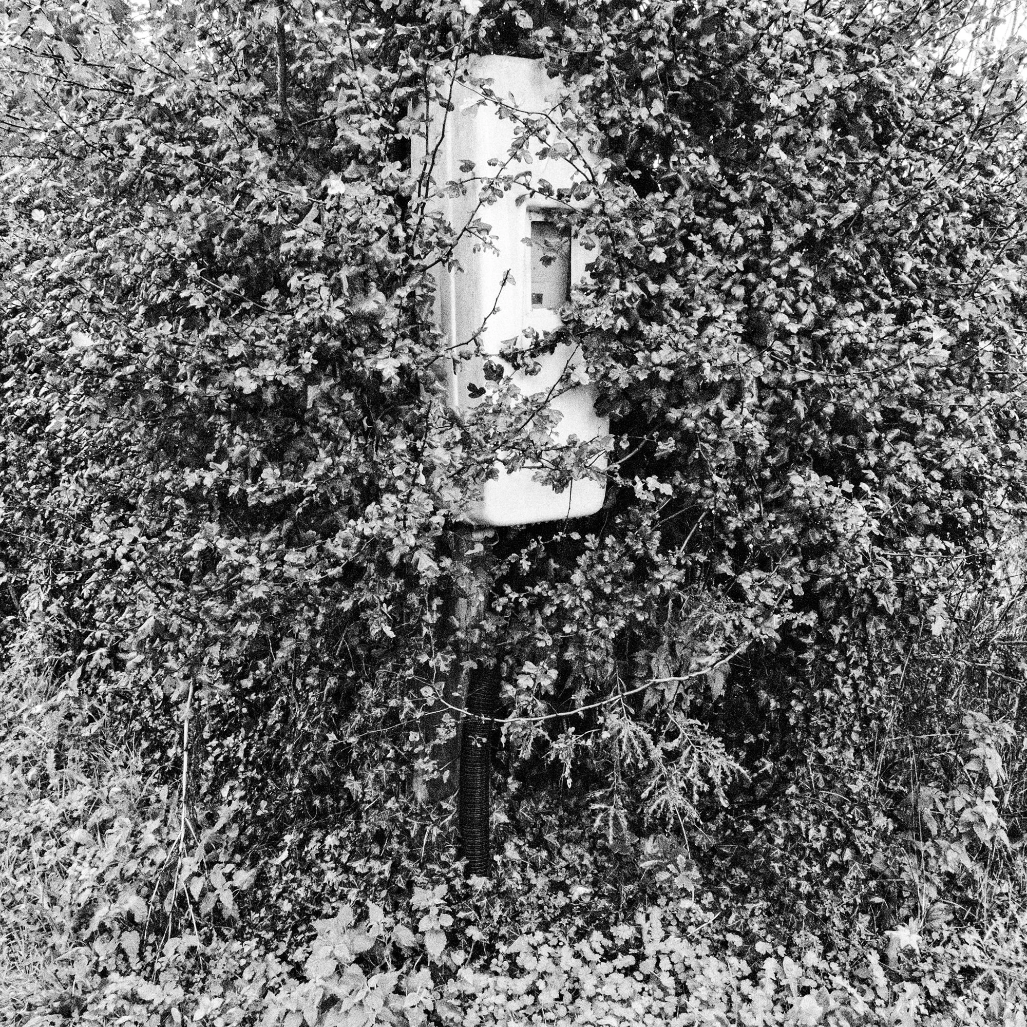 040.jpg