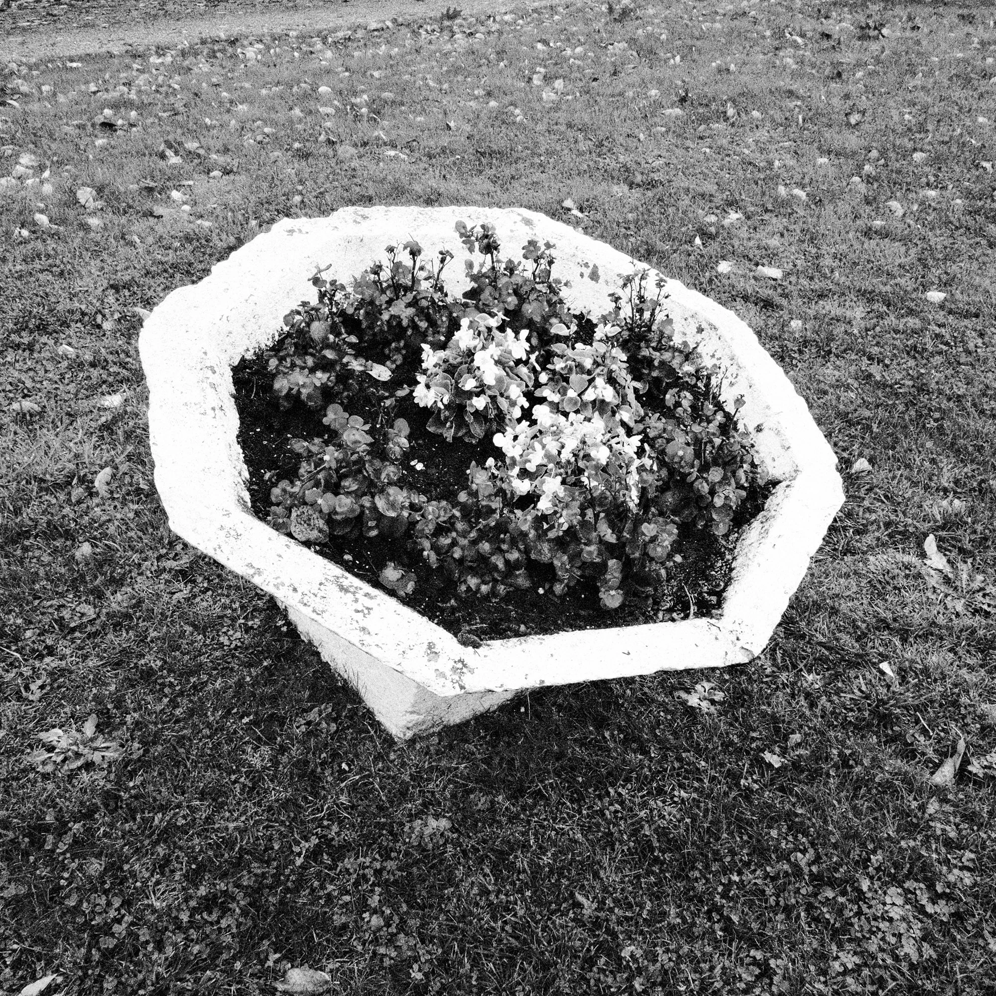 075.jpg