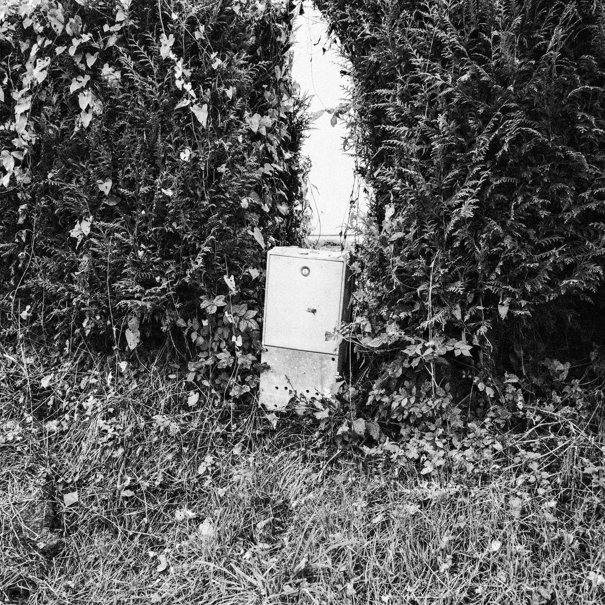 096.jpg
