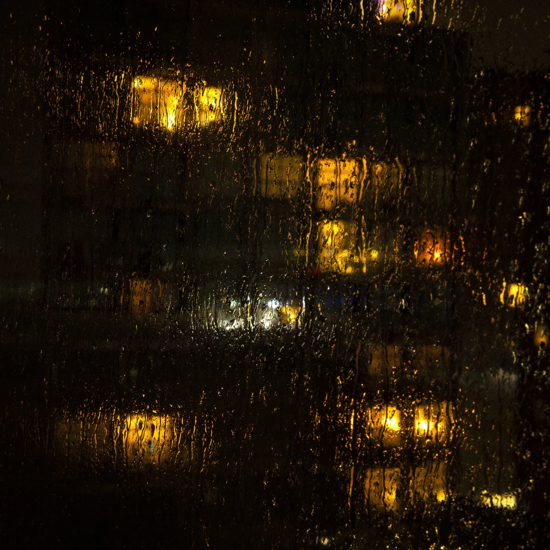 Windows of our lonely selves