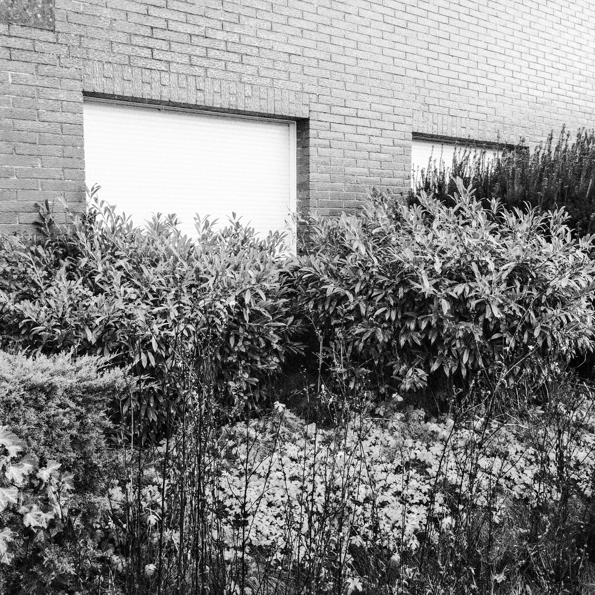042.jpg