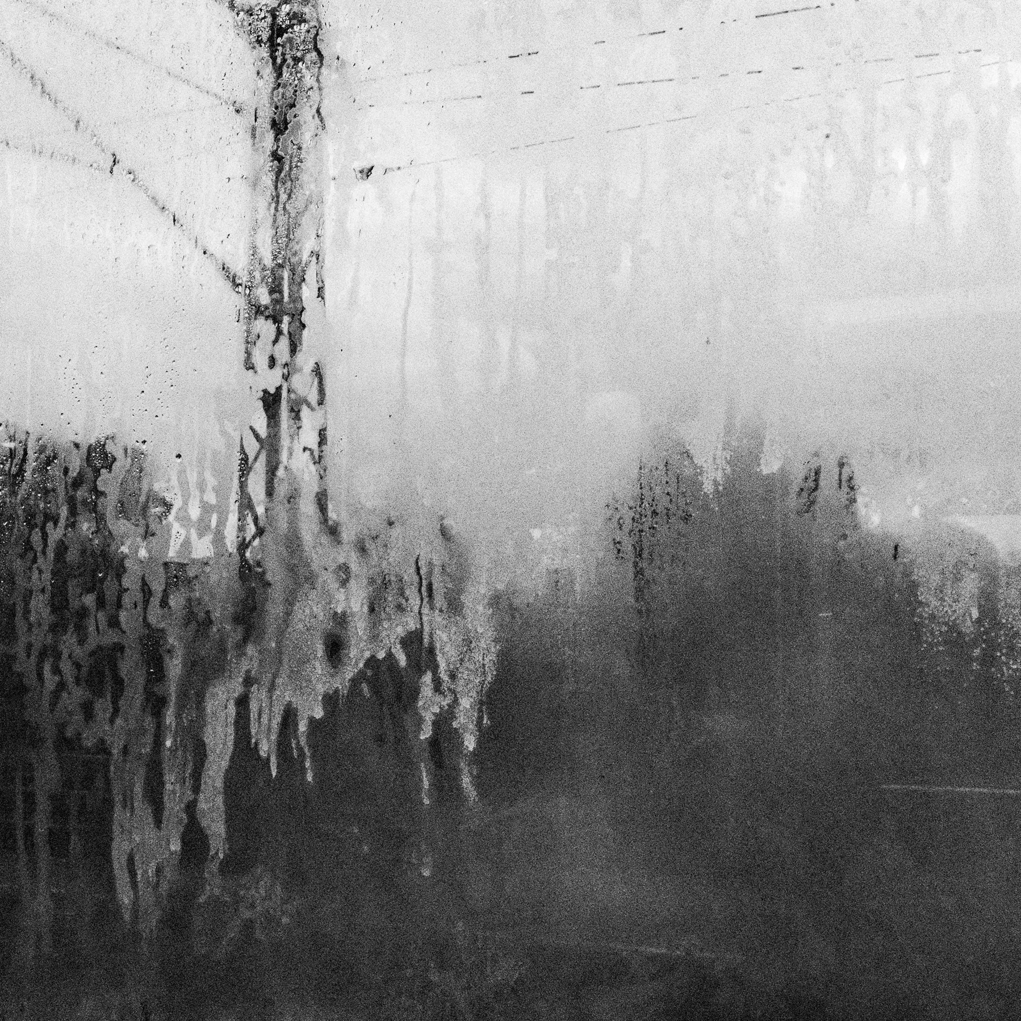037.jpg