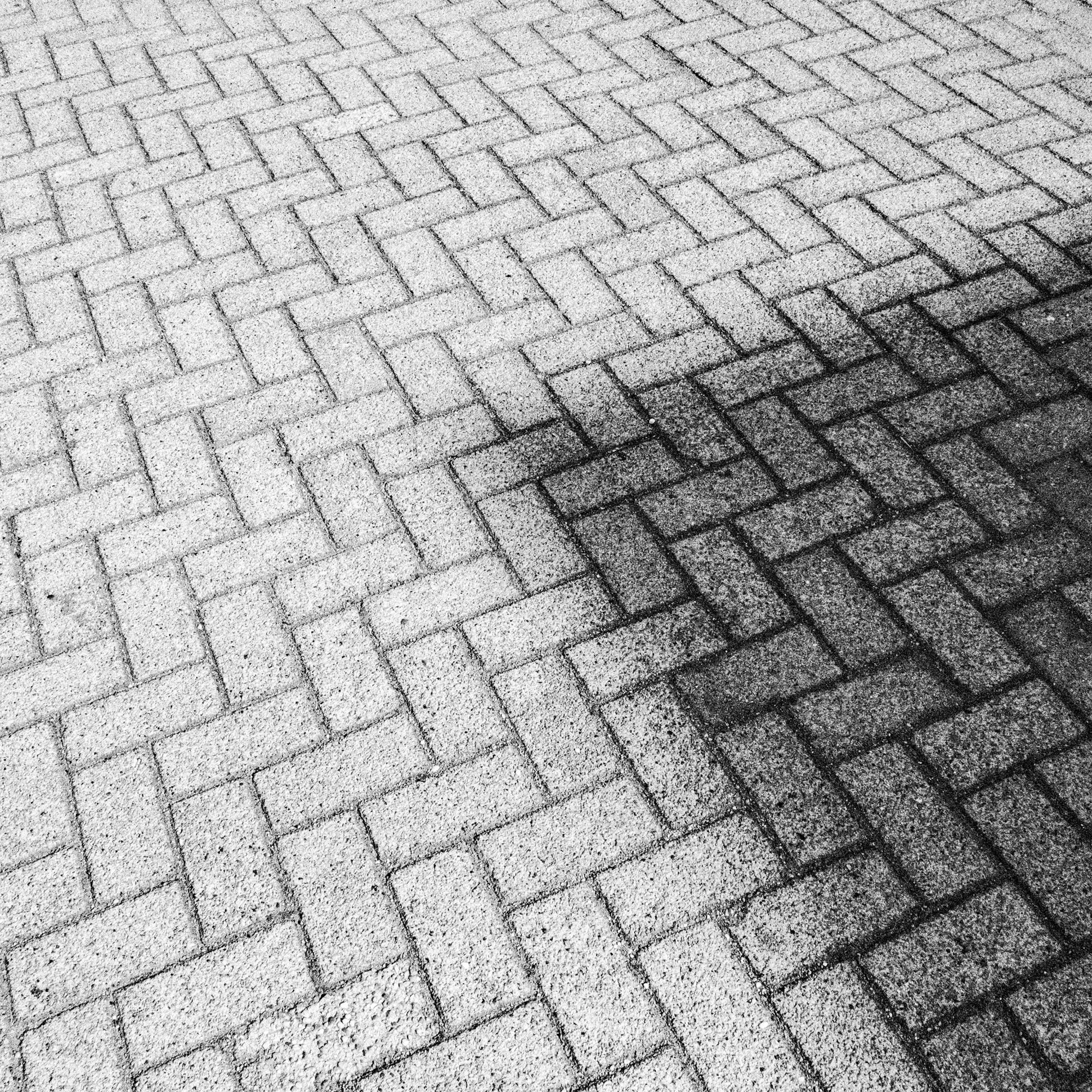 046.jpg