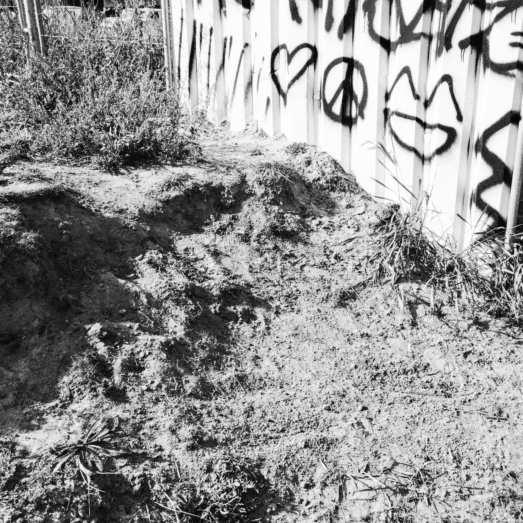 049.jpg