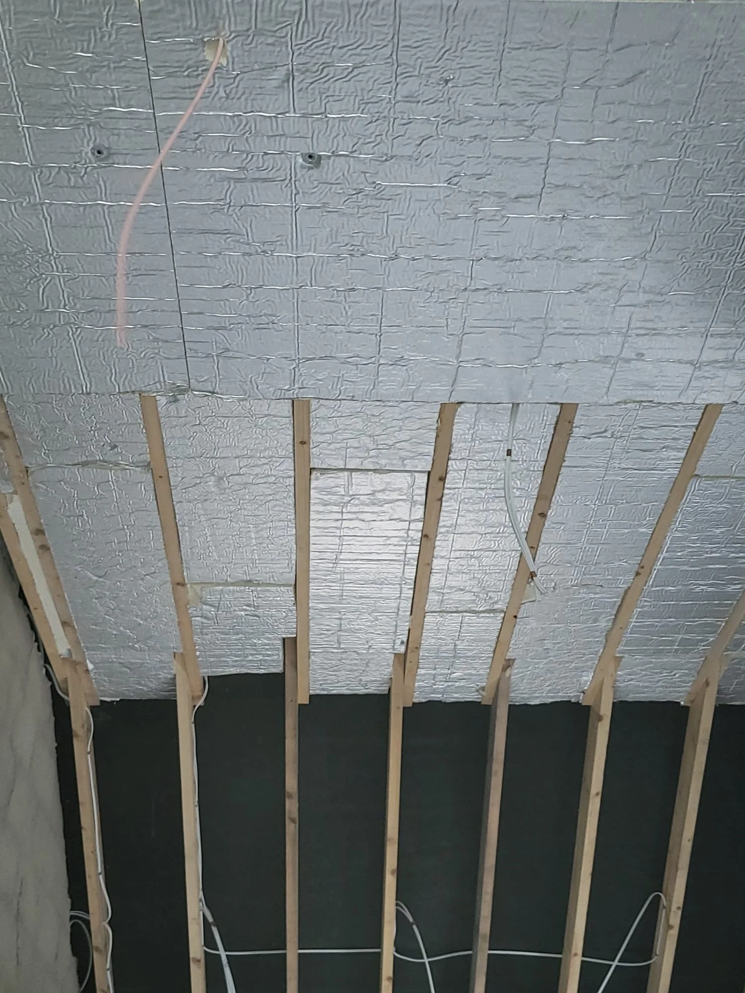 WhatsApp Image 2026-01-31 at .jpeg