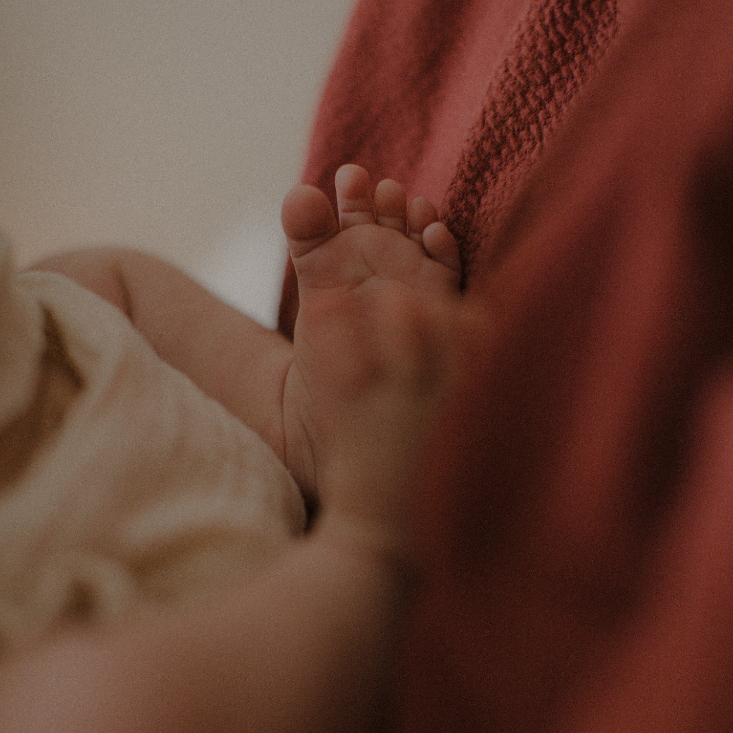 Lapsen käsi pitää aikuisen sormea.