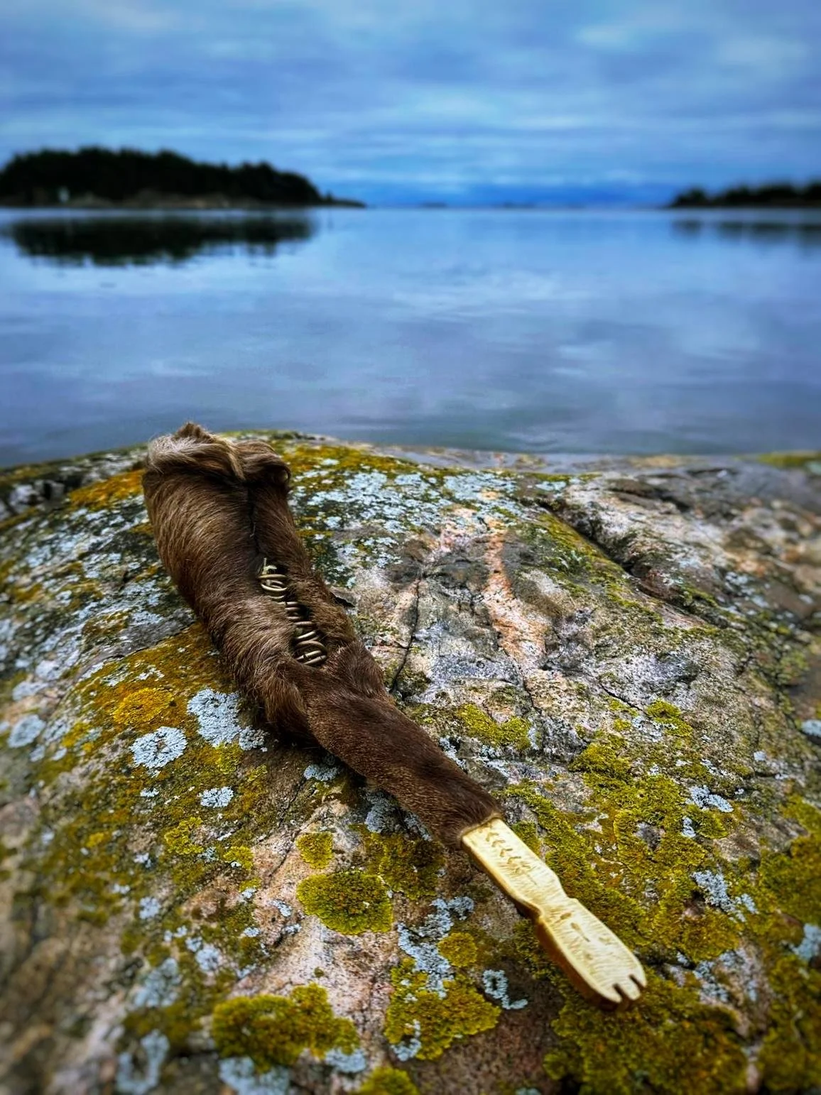 WhatsApp Image 2025-11-18 at 16.31.44.jpeg