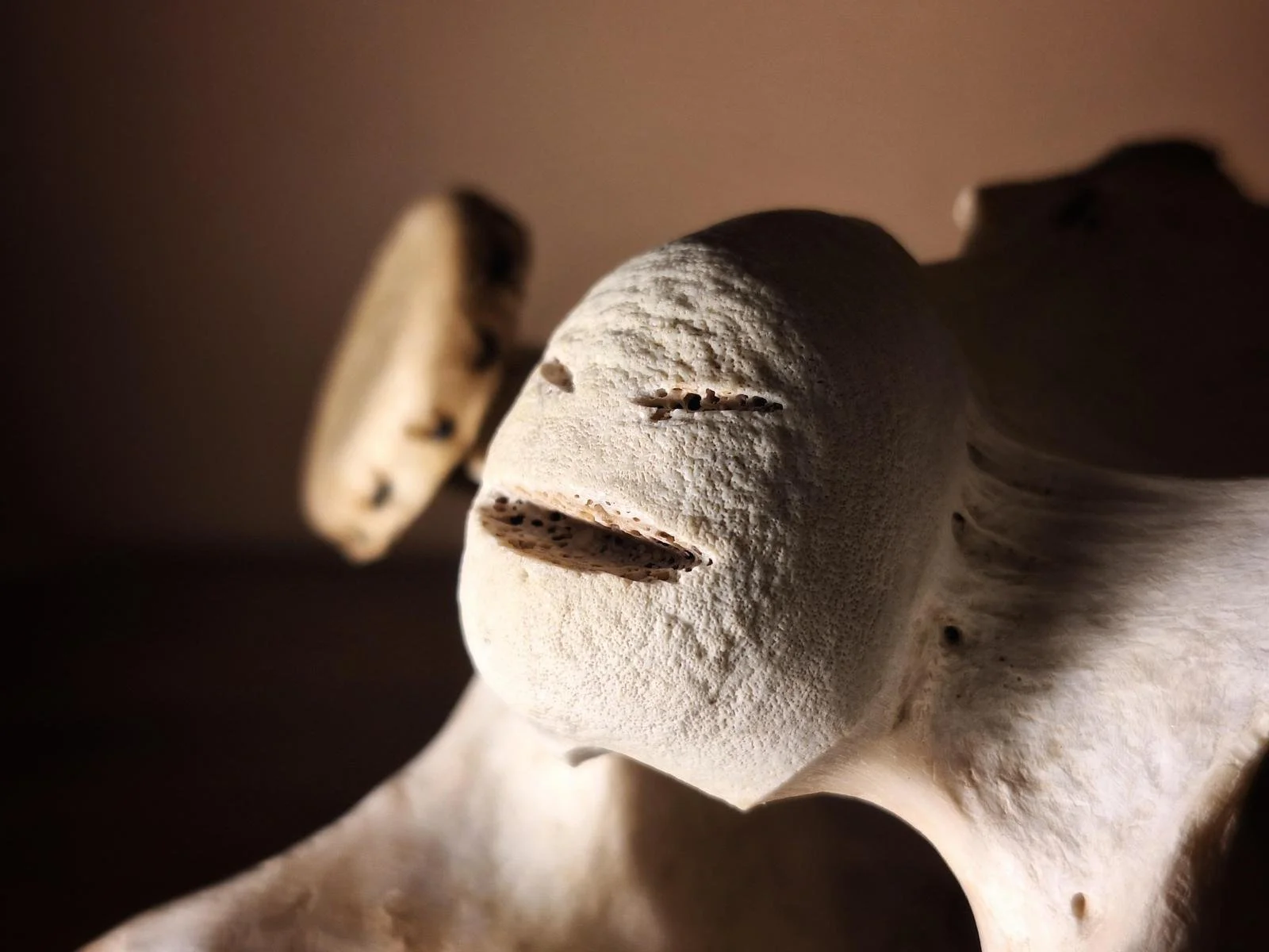 WhatsApp Image 2025-11-18 at 16.40.24.jpeg