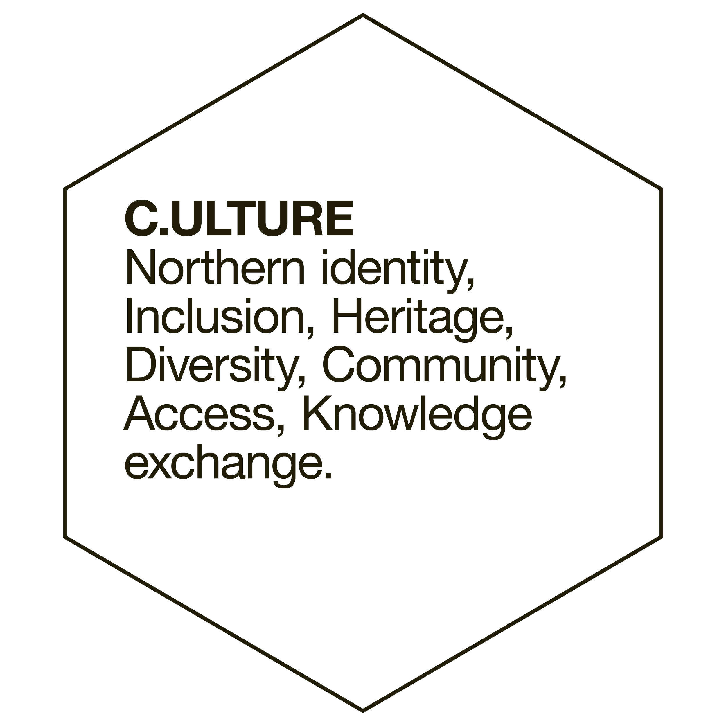 A black hexagon with a thin border containing text about culture, including themes of northern identity, inclusion, heritage, diversity, community, access, and knowledge exchange.