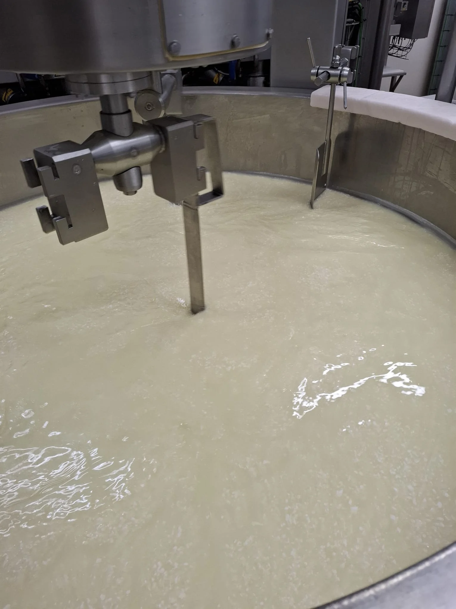 WhatsApp Image 3.jpeg