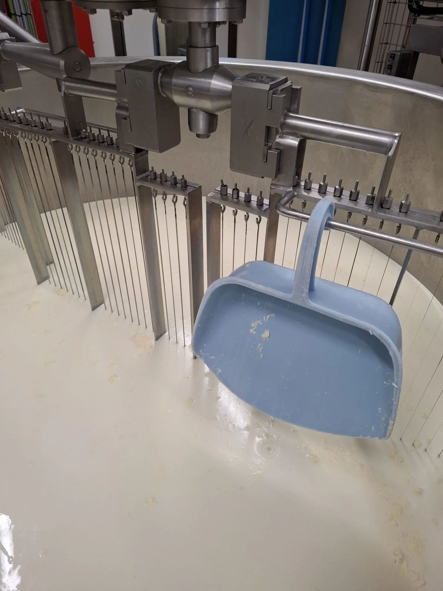 WhatsApp Image 2.jpeg