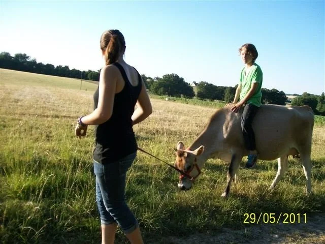 riding cows again.jpg