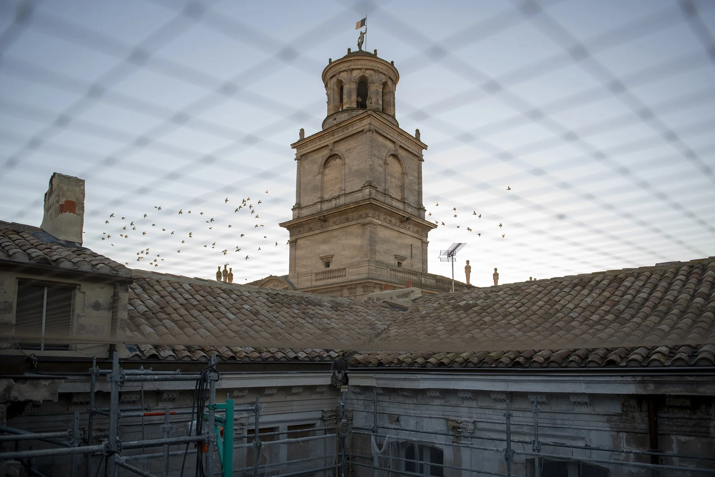Vue du ciel d'une tour historique avec un ciel nuageux et des oiseaux en vol, entourée de toits en tuiles, avec des échafaudages en premier plan.