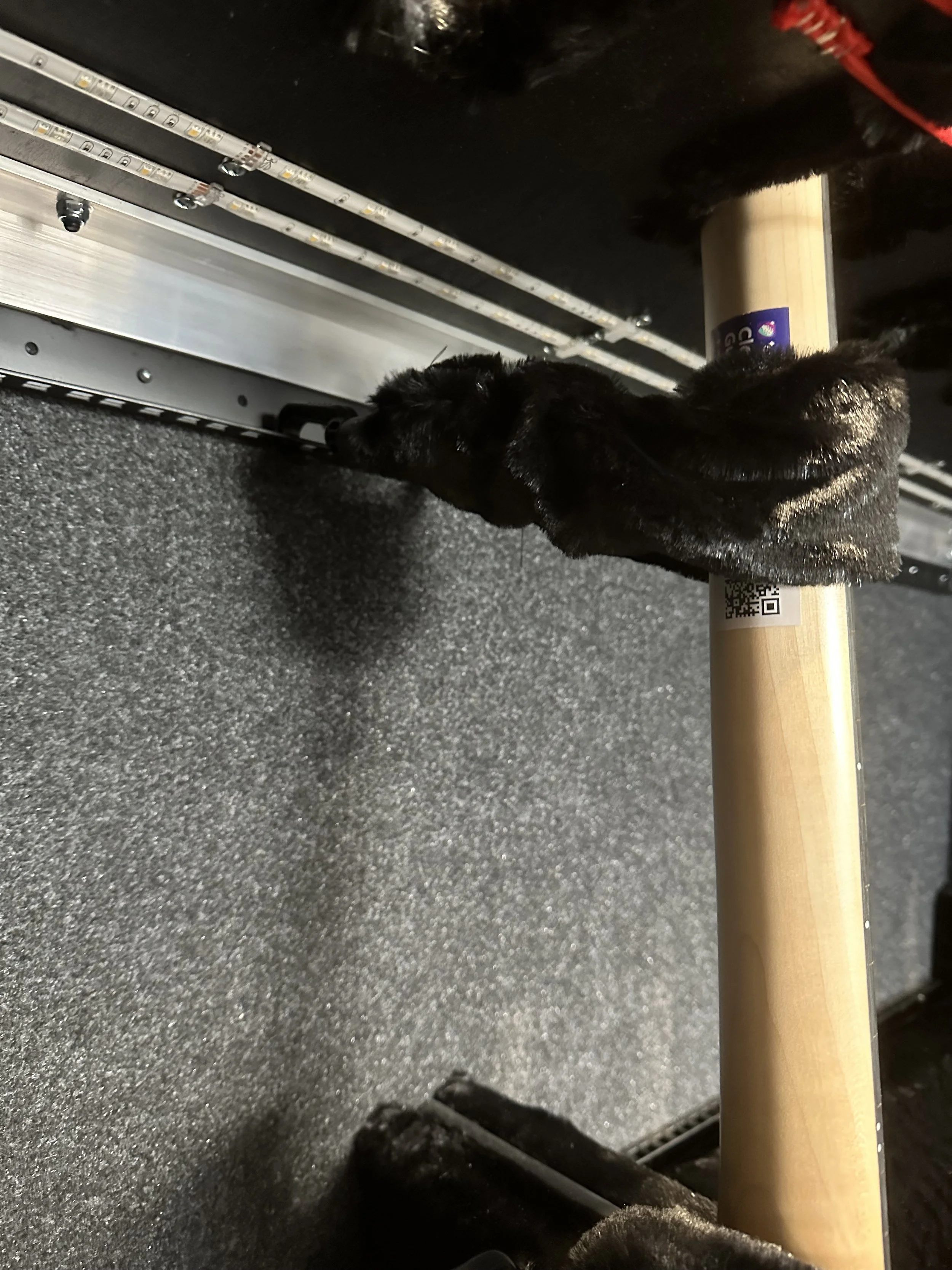 guitar vault int 2.jpg