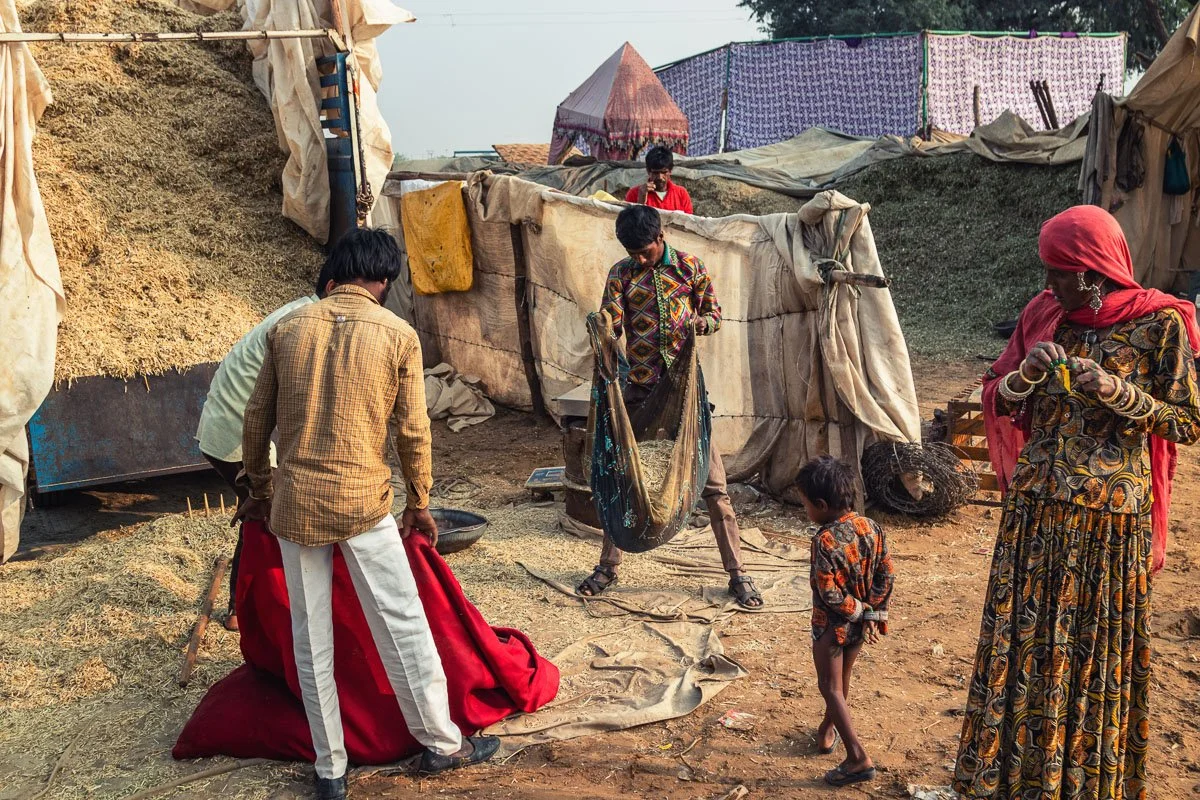 Pushkar Camel Fair 12.jpg