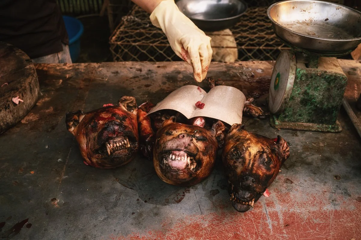 A North Vietnamese Market - Ban Tian.jpg