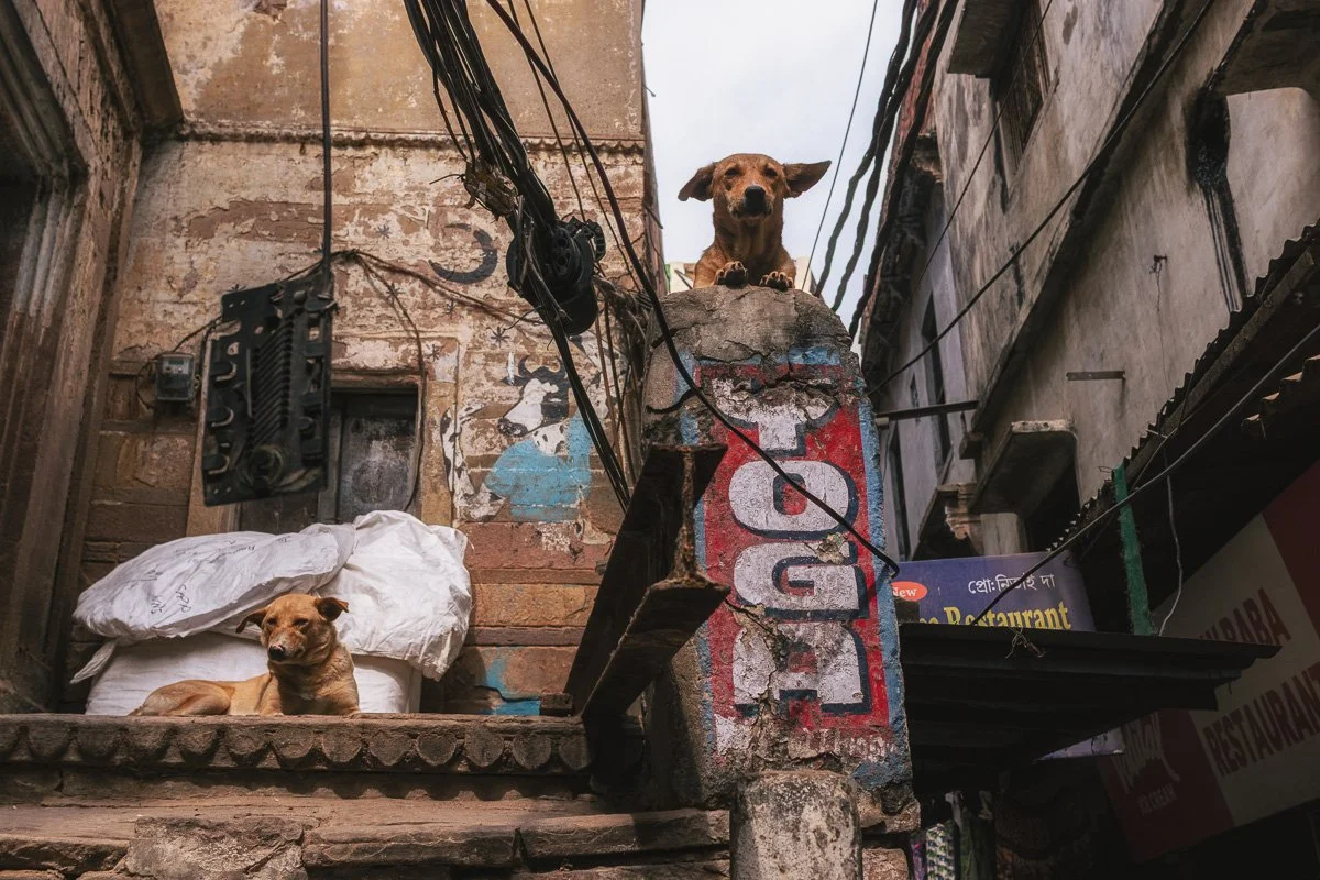 67 Varanasi.jpg