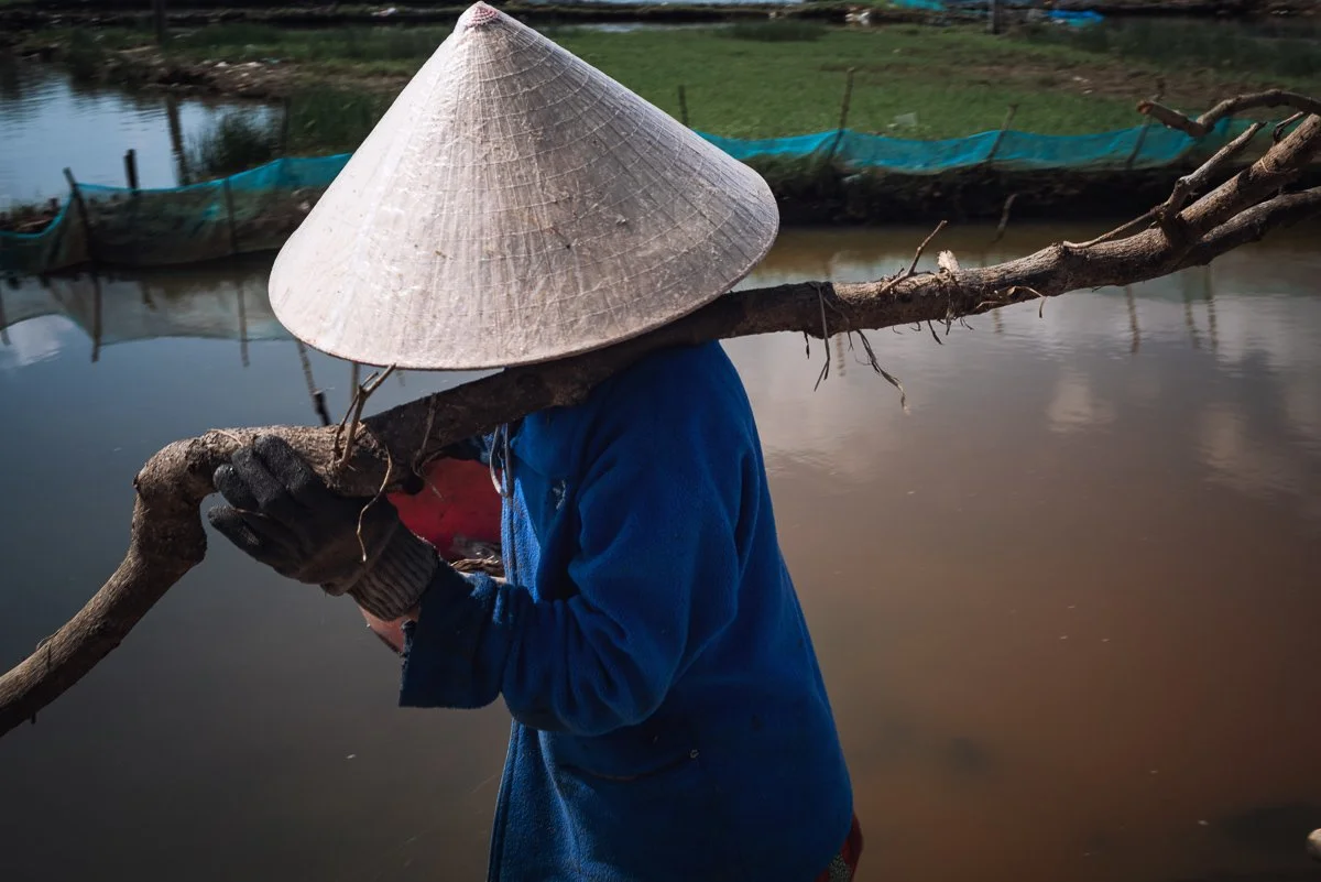 Daily Life 01 - Tuy An Dong.jpg