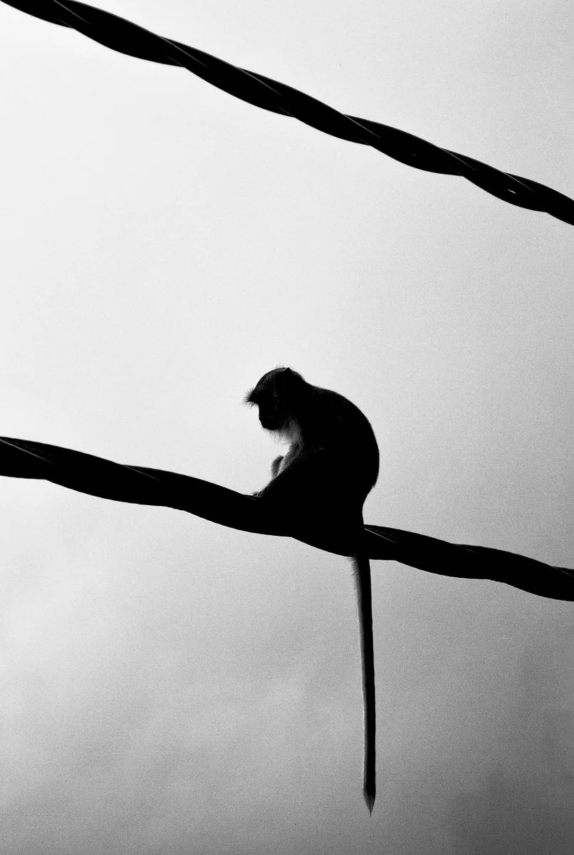 Penang, Malaysia