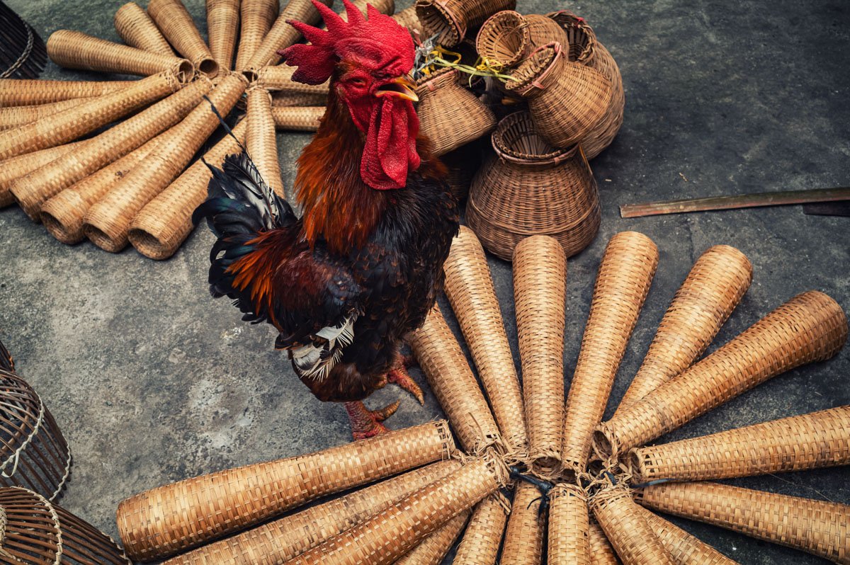 The Rooster 02 - Thu Sy.jpg