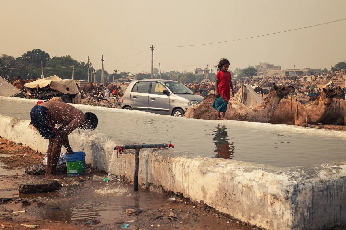 Pushkar Camel Fair 01.jpg