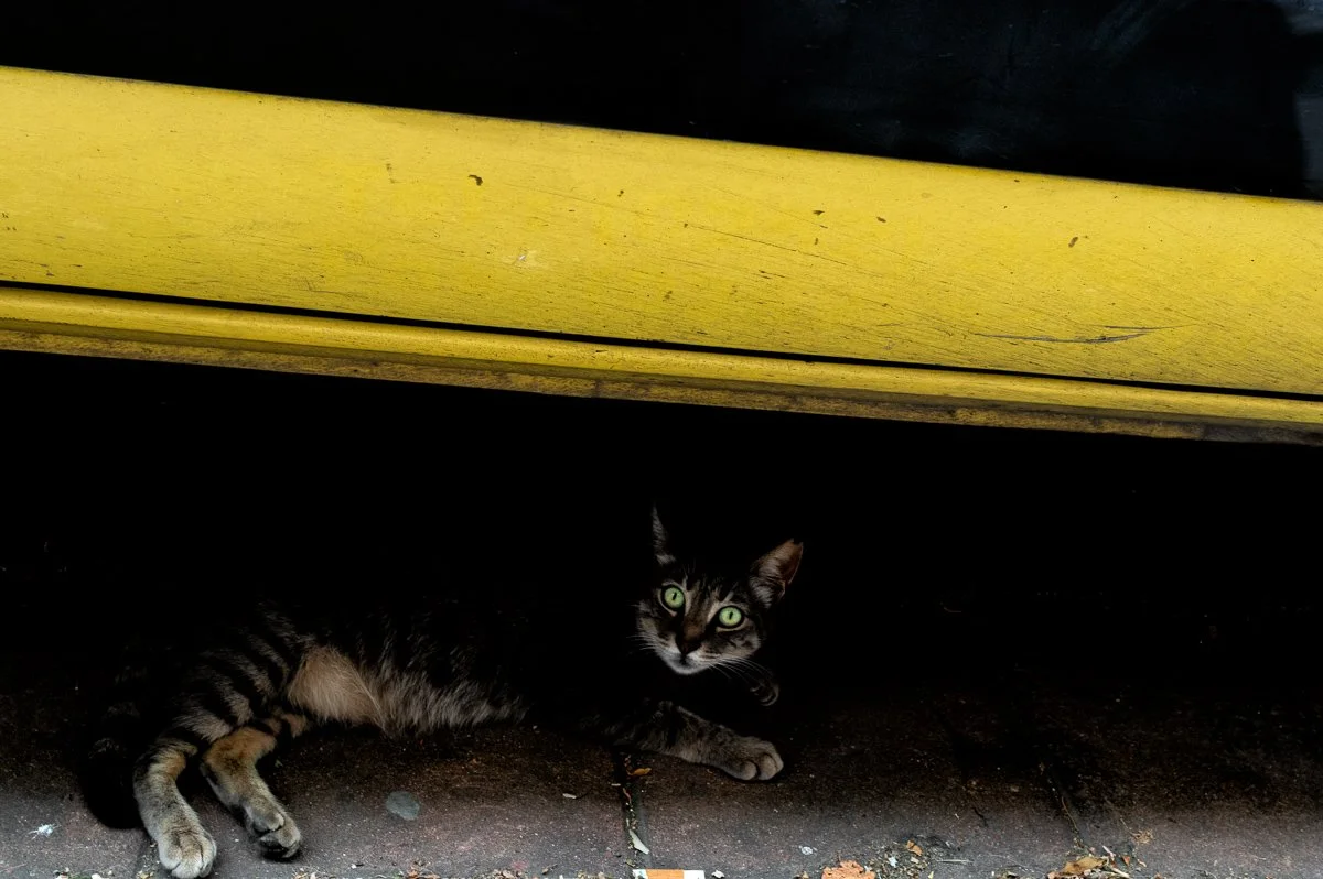 Istanbul 02.jpg