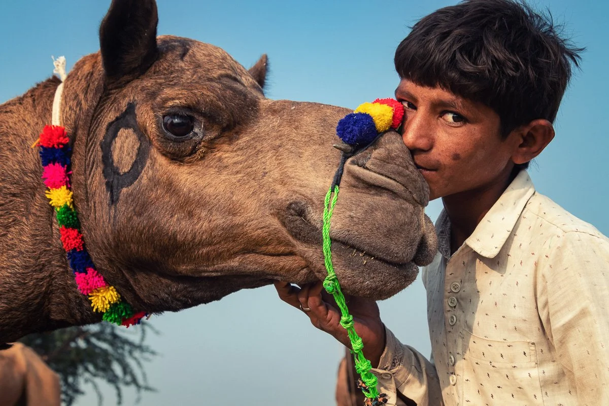Pushkar Camel Fair 02.jpg