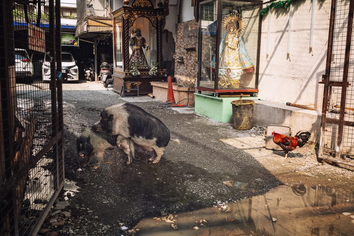 Manila 08.jpg