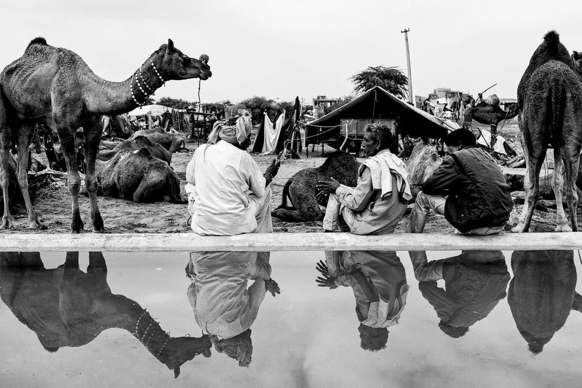 Pushkar Camel Fair 19.jpg