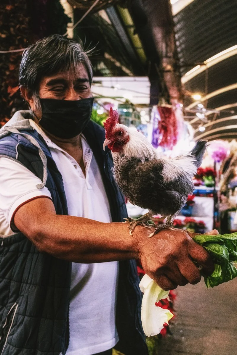 Mercado Jamaica 04.jpg