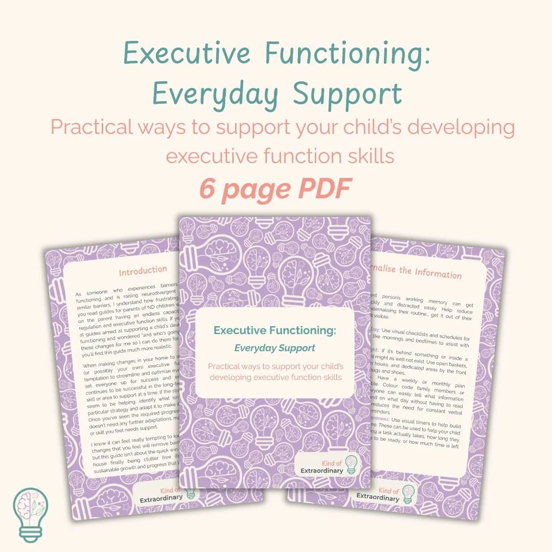 Everyday Support for Executive Functioning