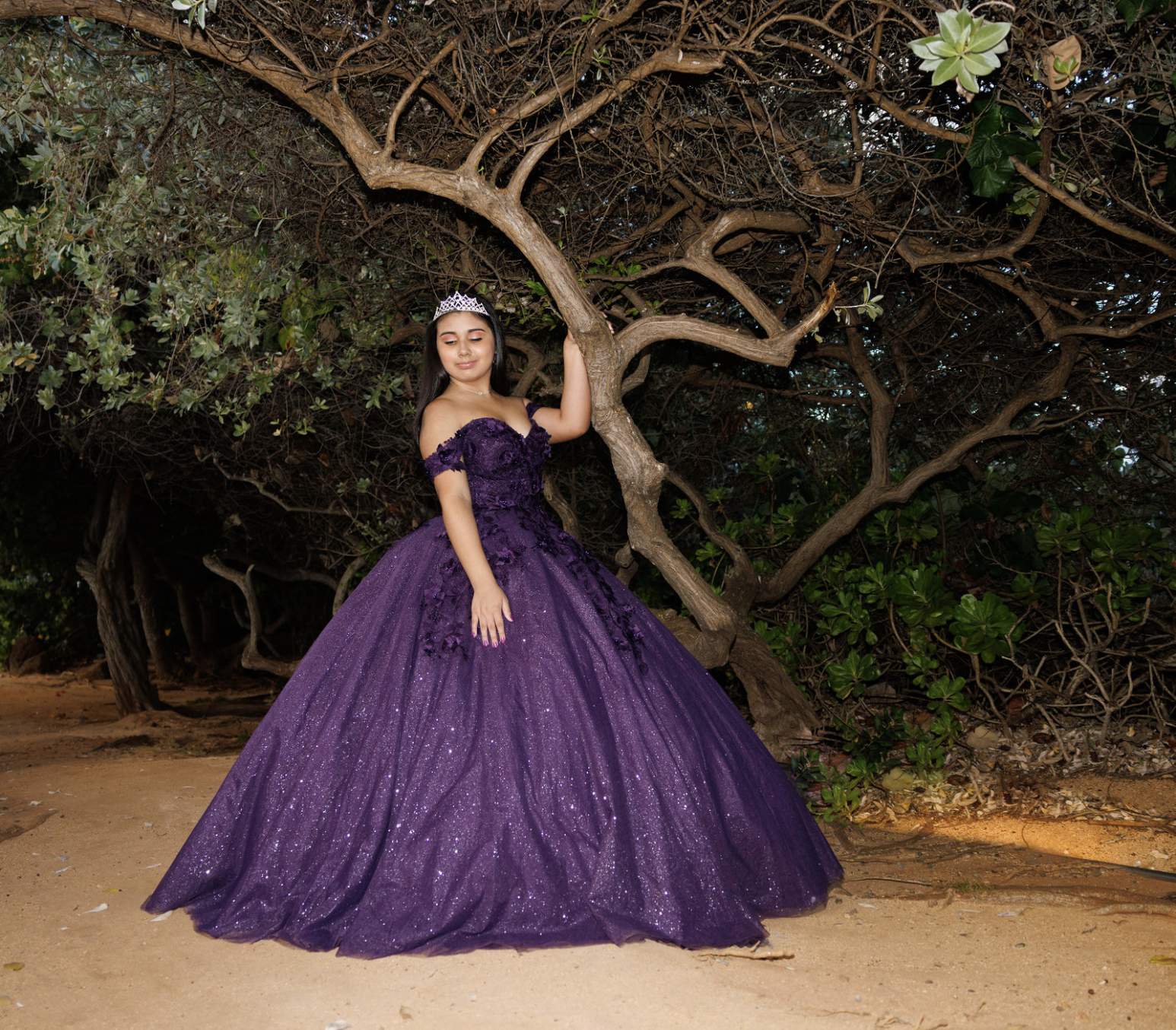 Young woman in a purple, glittery ball gown and tiara posing outdoors beside a twisted tree