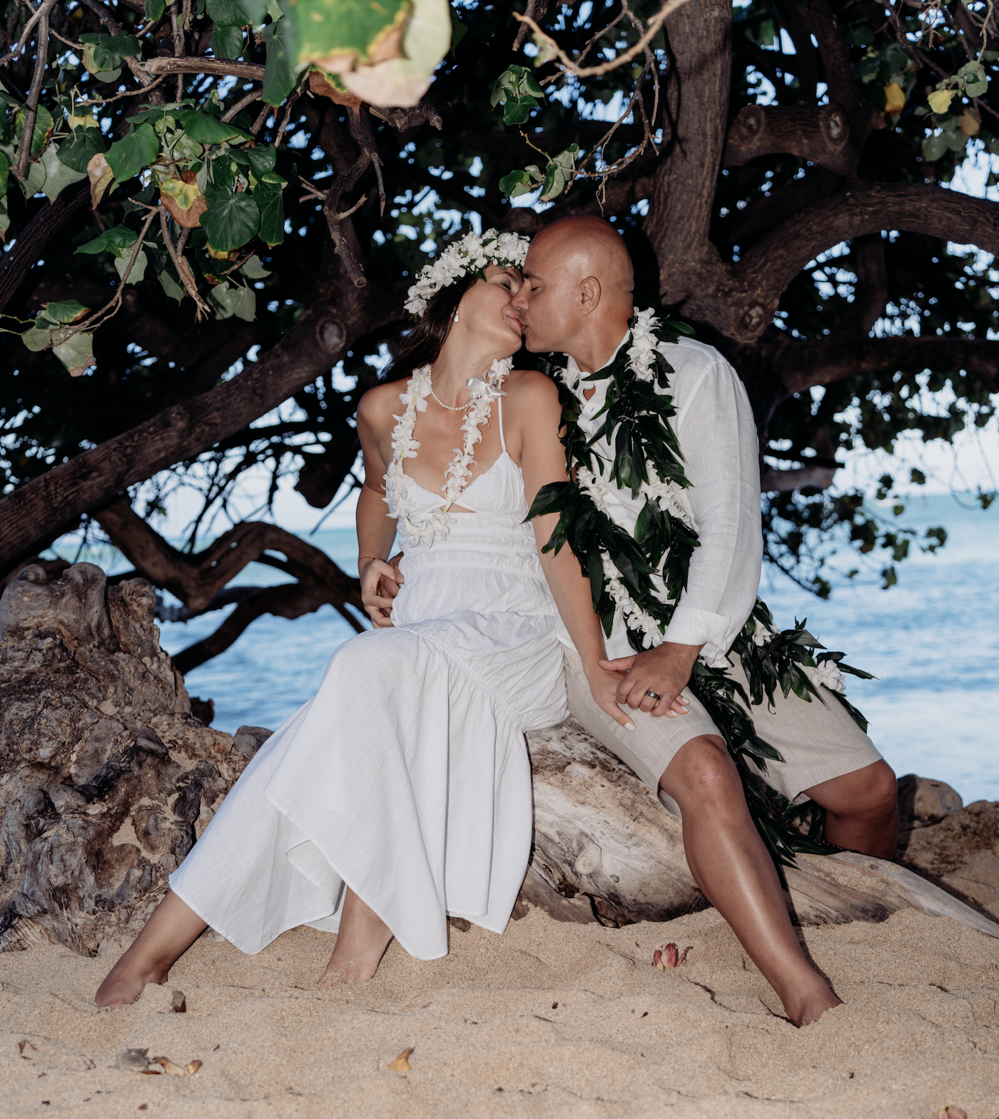 A couple in wedding attire sharing a kiss under a large tree on a beach. The woman wears a white dress and flower crown, while the man wears a white shirt and shorts with a lei. The sandy ground and ocean in the background suggest a beach wedding set