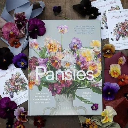 Brenna Estrada Pansies.jpeg