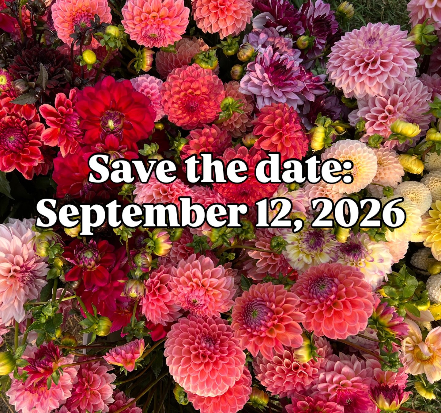 Save the date and tell all your friends! Details coming soon! 

#snohomish #flowers #localflowersmakelifebetter #floraldesign #snohomishflowers