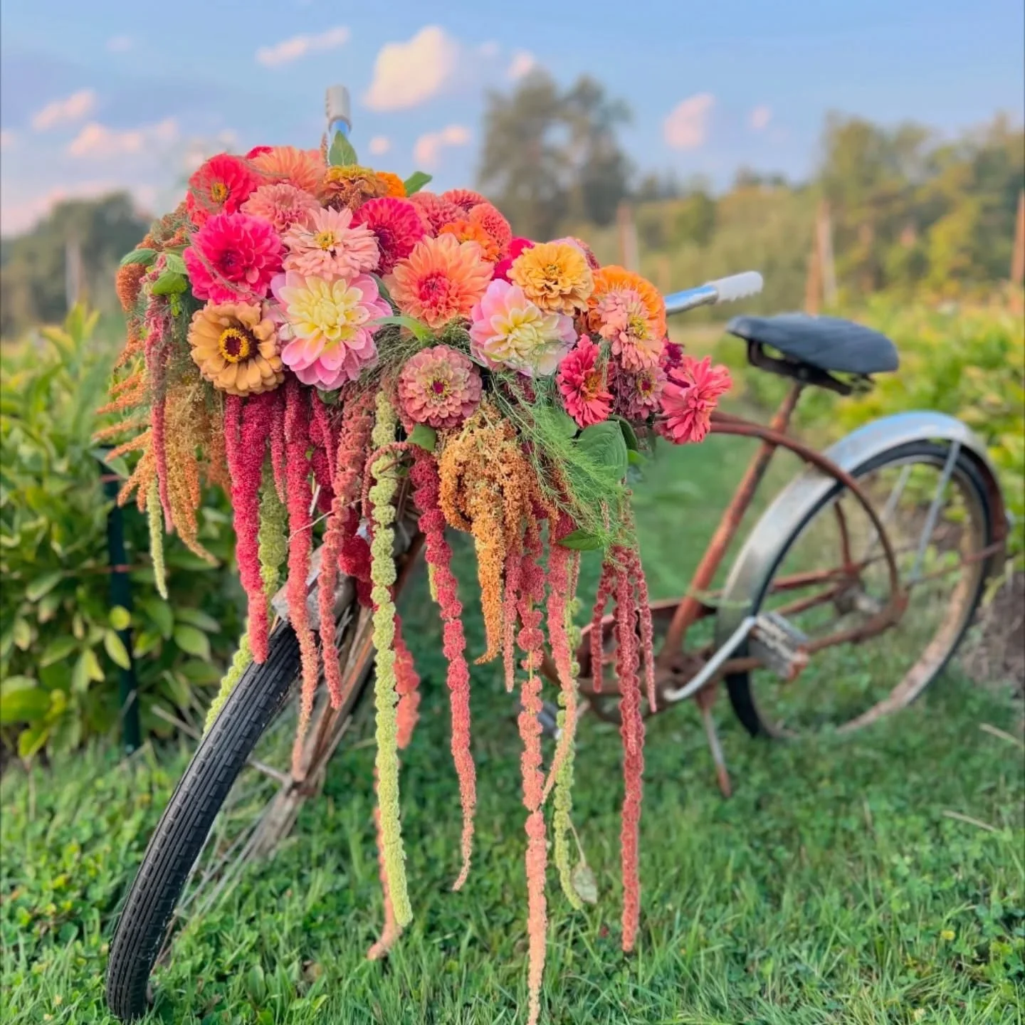 Close your eyes...it's a warm September afternoon. Imagine 1st Street Snohomish decorated and adorned with blooms grown by local flower farmers. Floral designers have created beautiful installations over shop doors and windows. Businesses are welcomi
