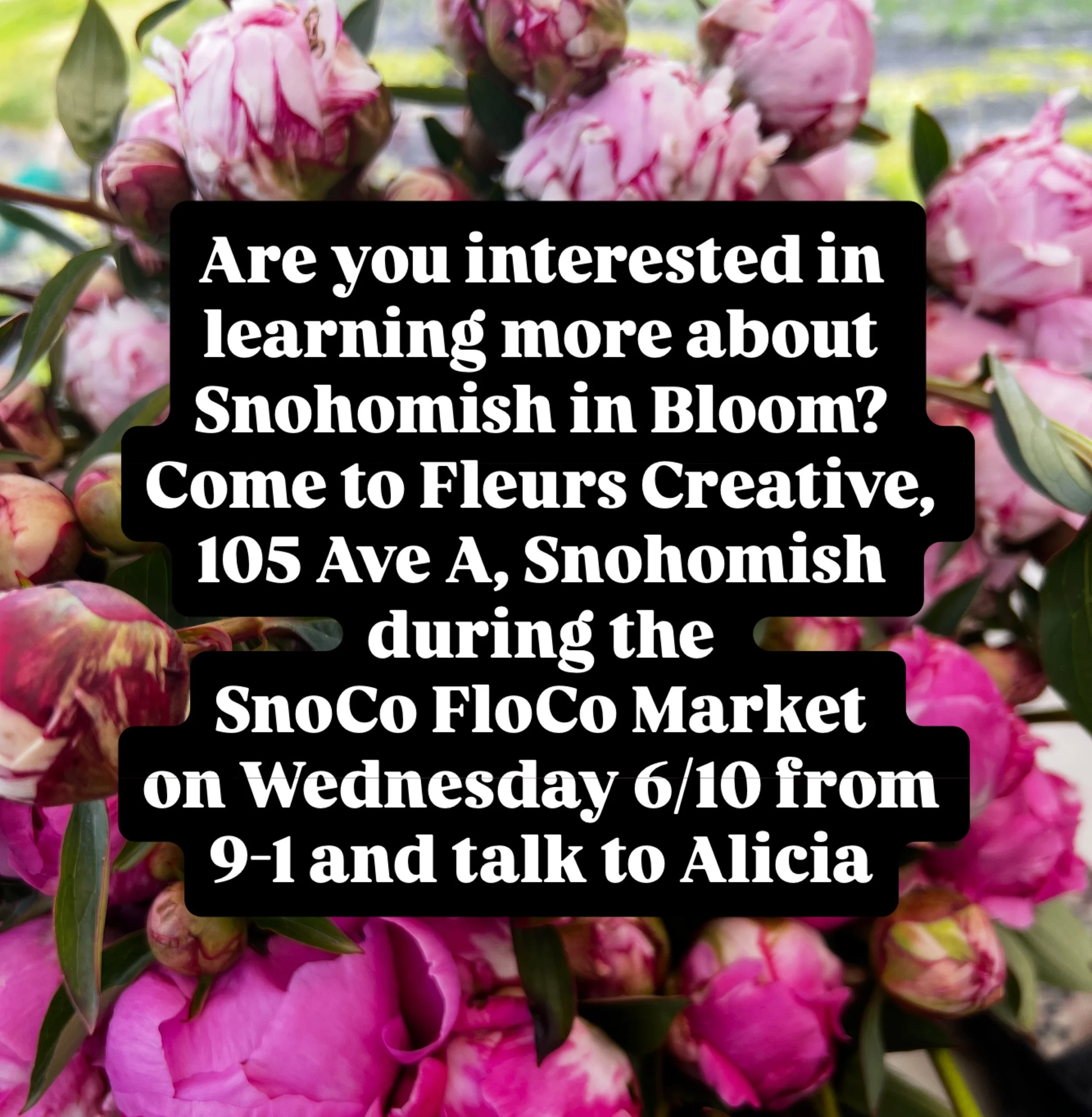 Want to be a vendor at our market? Want to volunteer? Want to donate flowers? 

Alicia will be available to answer all the questions you might have about Snohomish in Bloom on Wednesday, 6/10 from 9-1 at the @snocofloco market located in @fleurs.crea