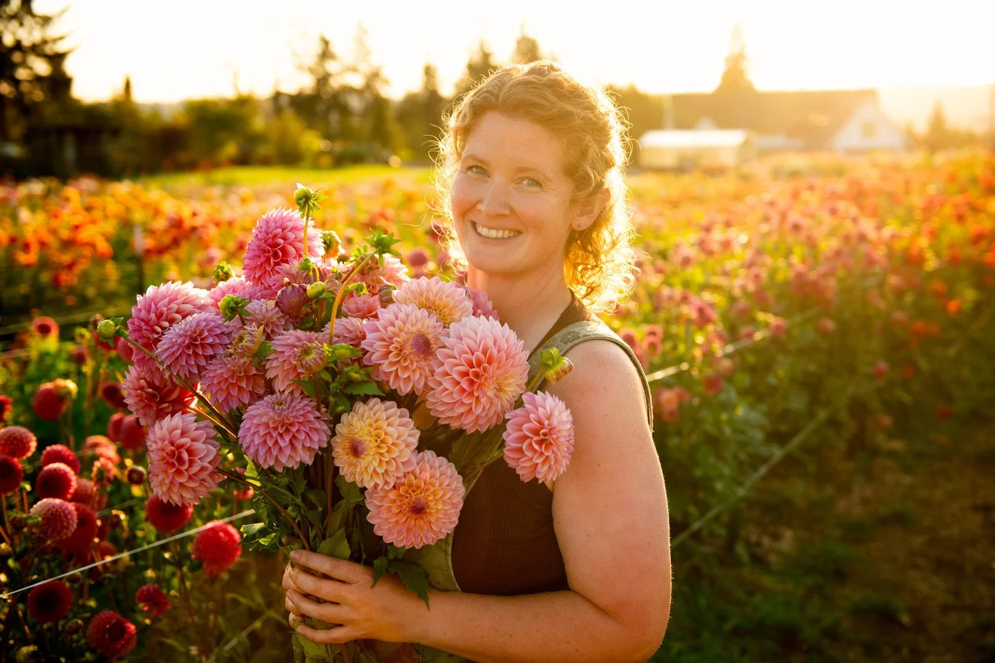 Let’s Talk about Dahlias- Erin at 4 PM