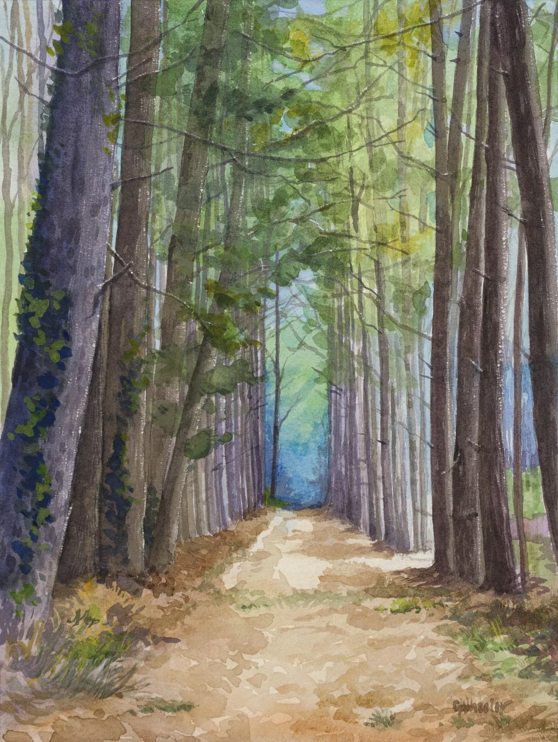 A watercolor painting of a forest trail with tall trees on each side, green foliage overhead, and a blue sky visible through the canopy.