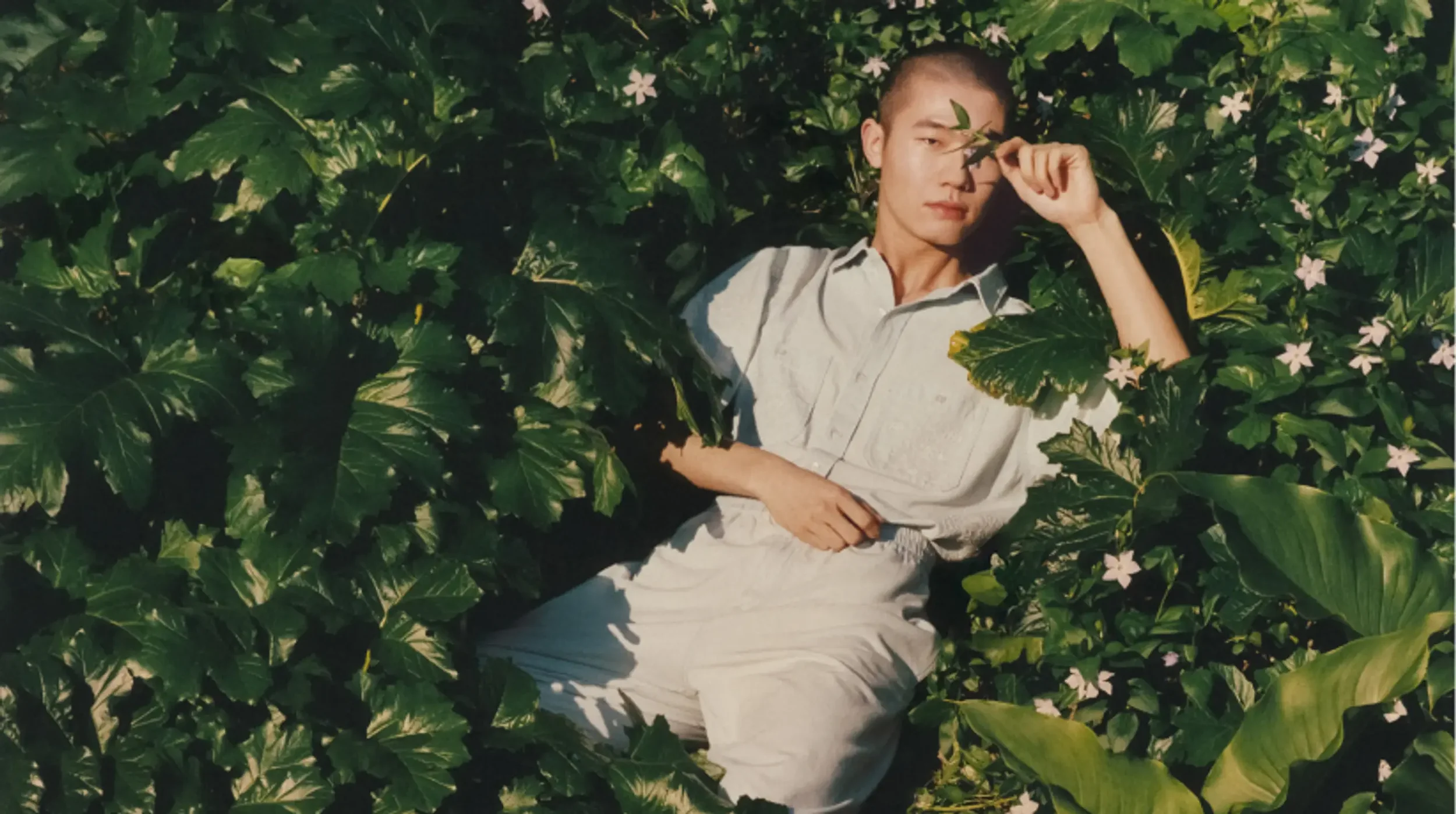 Kenzo x Andy Massaccesi​