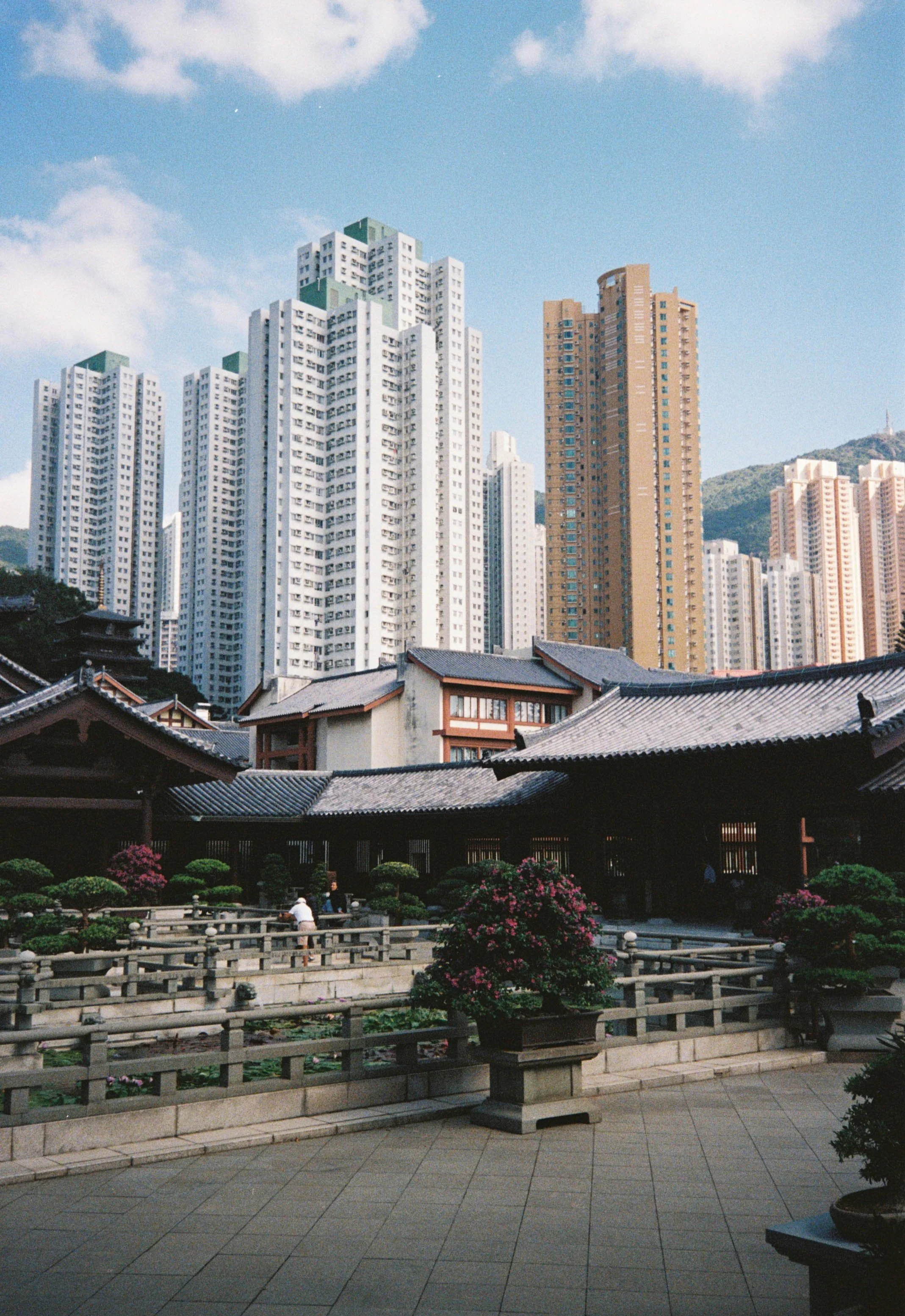 3005388--010--VK.jpg